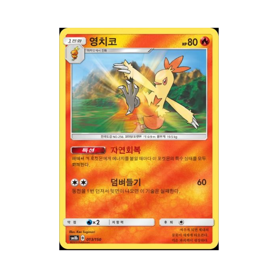포켓몬 TCG 영치코  GX 울트라샤이니 (한글판)(Pokemon TCG Combusken Gx Ultra Shiny (Korean Ver.)) - 1