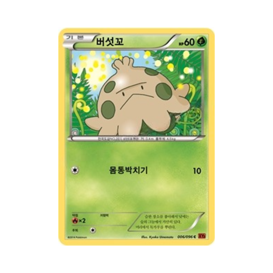 포켓몬 TCG 버섯꼬 C 라이징피스트 (한글판)(Pokemon TCG Shroomish C Rising Fist (Korean Ver.)) - 1