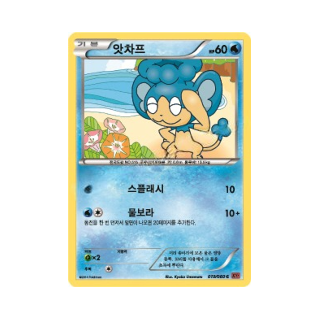 포켓몬 TCG 앗차프 C Y컬렉션 (한글판)(Pokemon TCG Panpour C Collection Y (Korean Ver.))