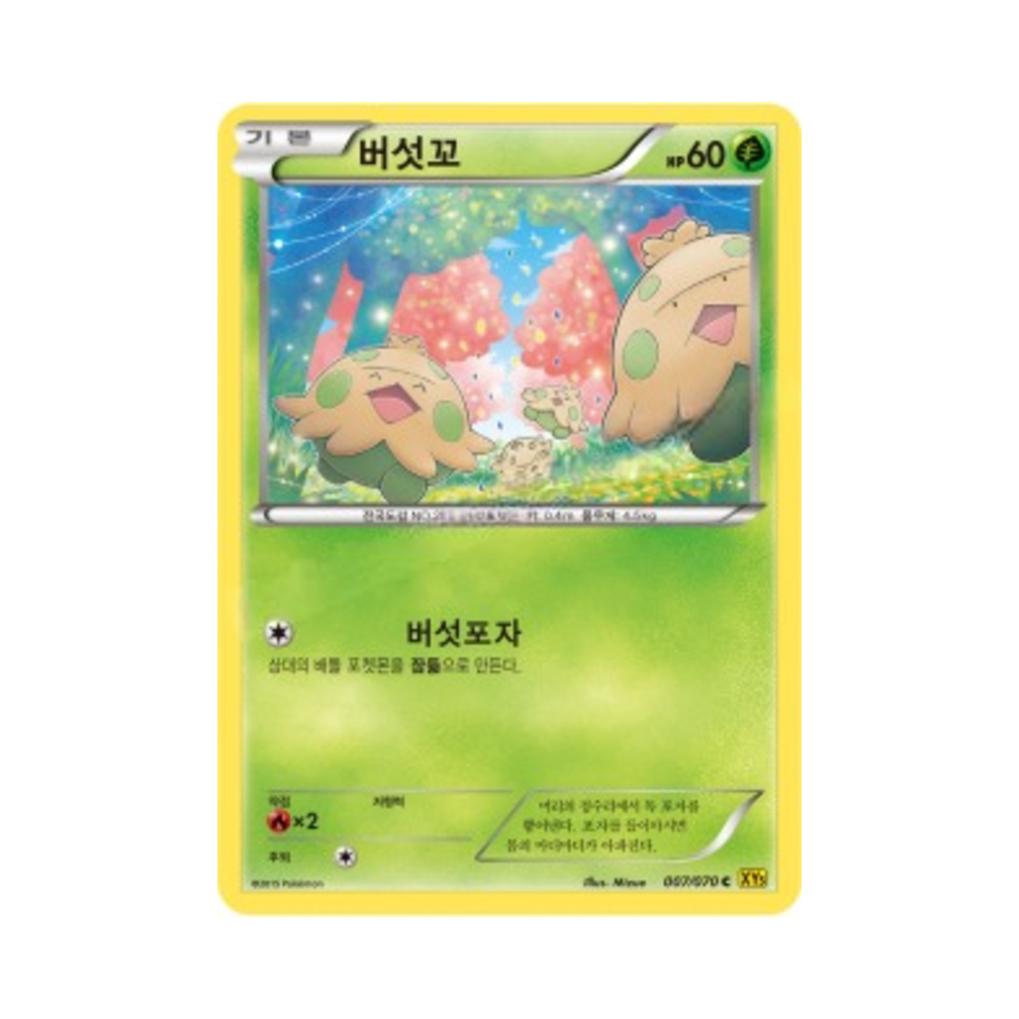 포켓몬 TCG 버섯꼬 C 가이아 볼케이노 (한글판)(Pokemon TCG Shroomish C Gaia Volcano (Korean Ver.)) - 1
