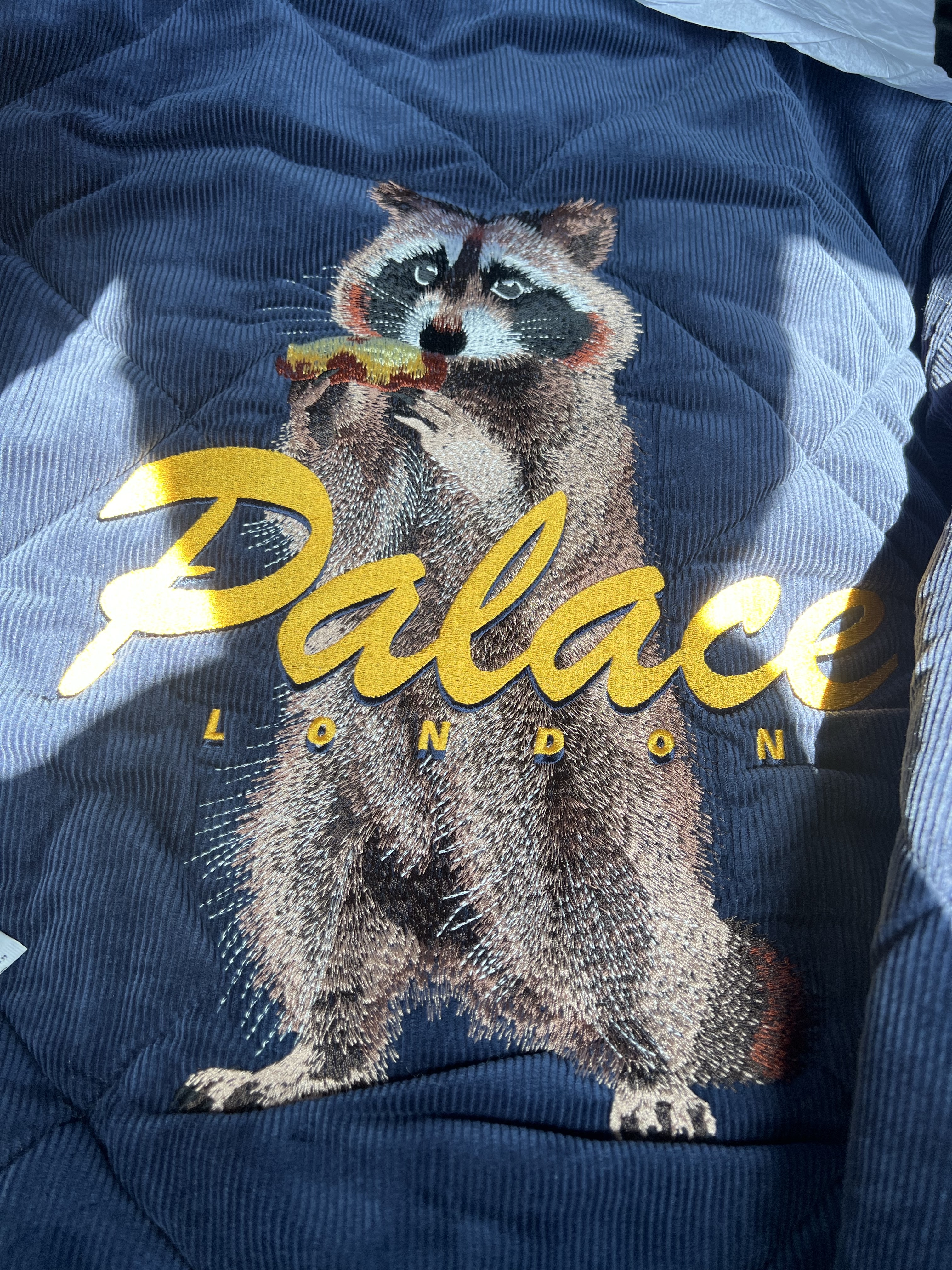 Palace Hungry Raccoon Jacket Navy - 26SS 착용 스타일