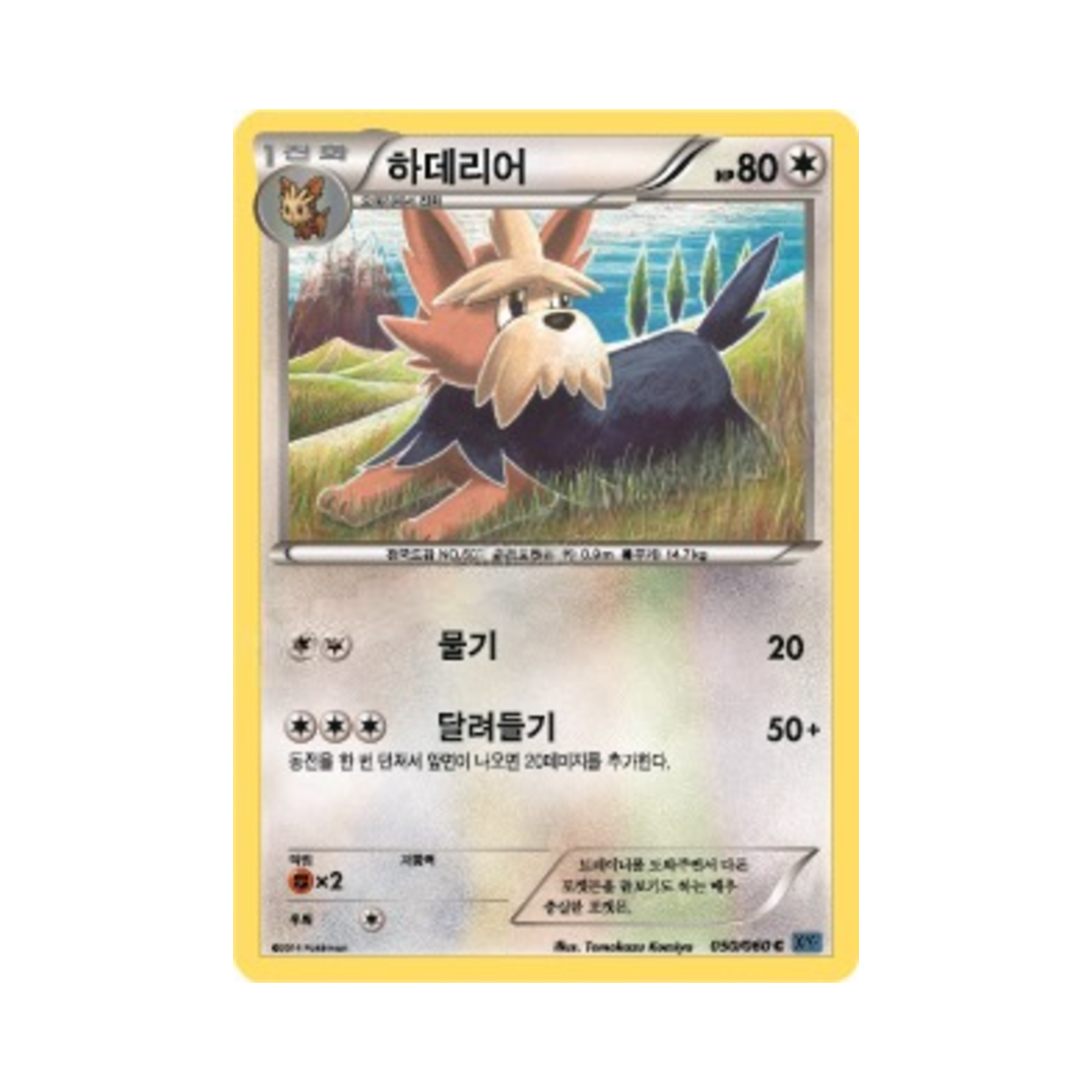 포켓몬 TCG 하데리어 C X컬렉션 (한글판)(Pokemon TCG Herdier C Collection X (Korean Ver.)) - 1