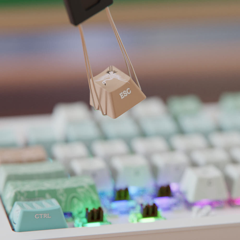 시이닷 고려청자 염료승화 한글 PBT 키캡(C.e.dot  Goryeo Celadon Hangul PBT Keycaps) - 6