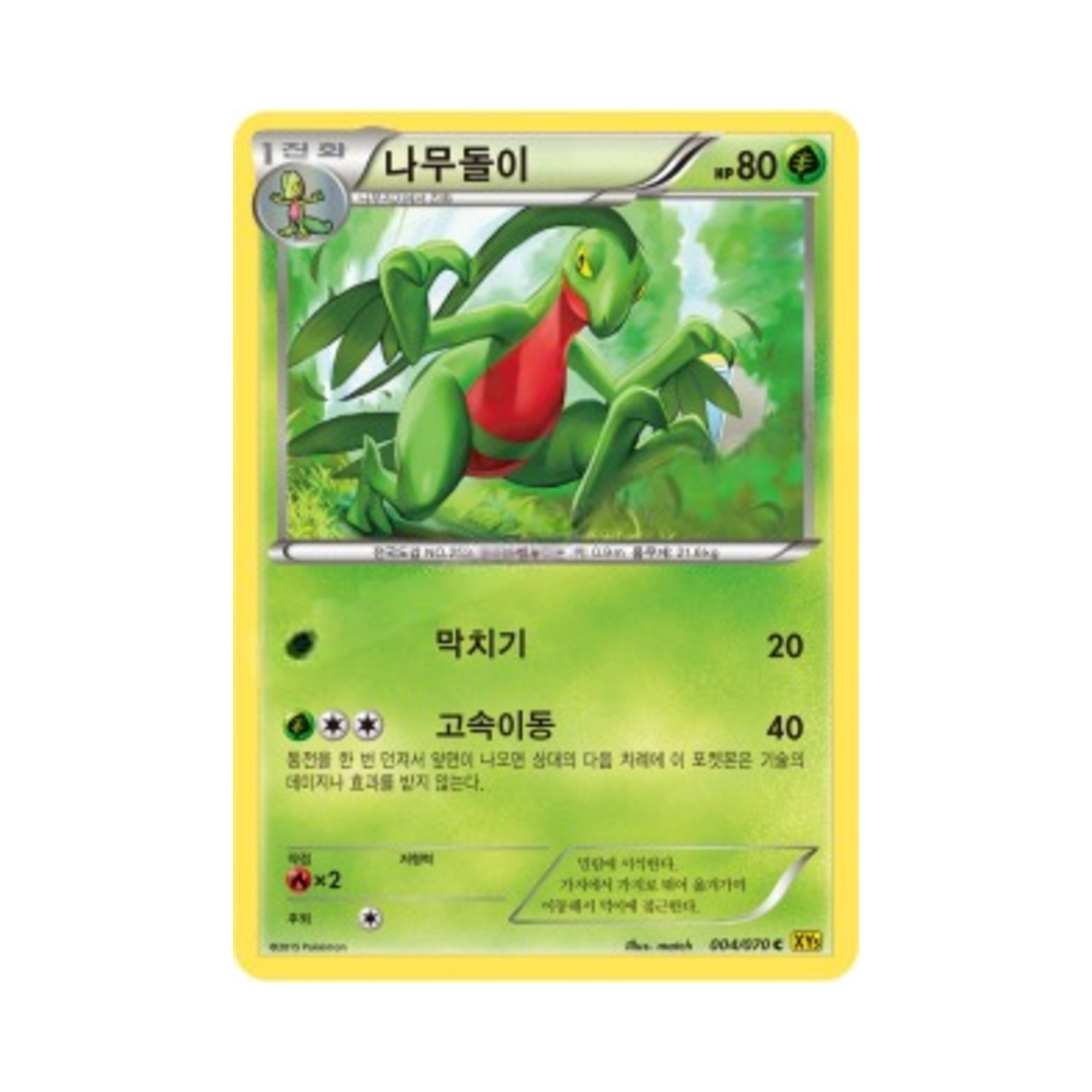 포켓몬 TCG 나무돌이 C 가이아 볼케이노 (한글판)(Pokemon TCG Grovyle C Gaia Volcano (Korean Ver.)) - 1