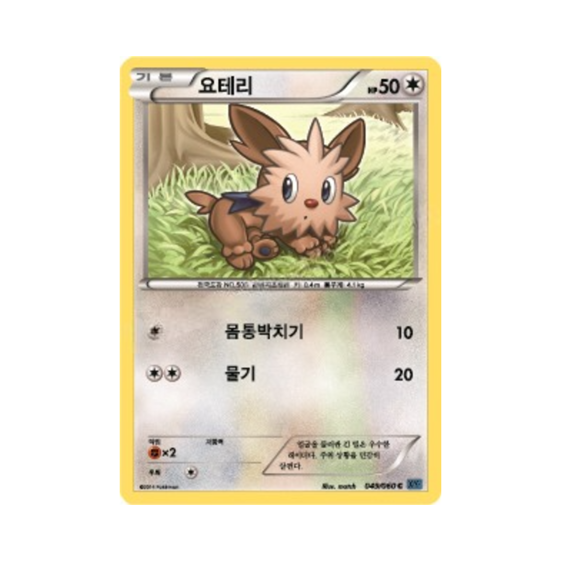 포켓몬 TCG 요테리 C X컬렉션 (한글판)(Pokemon TCG Lillipup C Collection X (Korean Ver.)) - 1