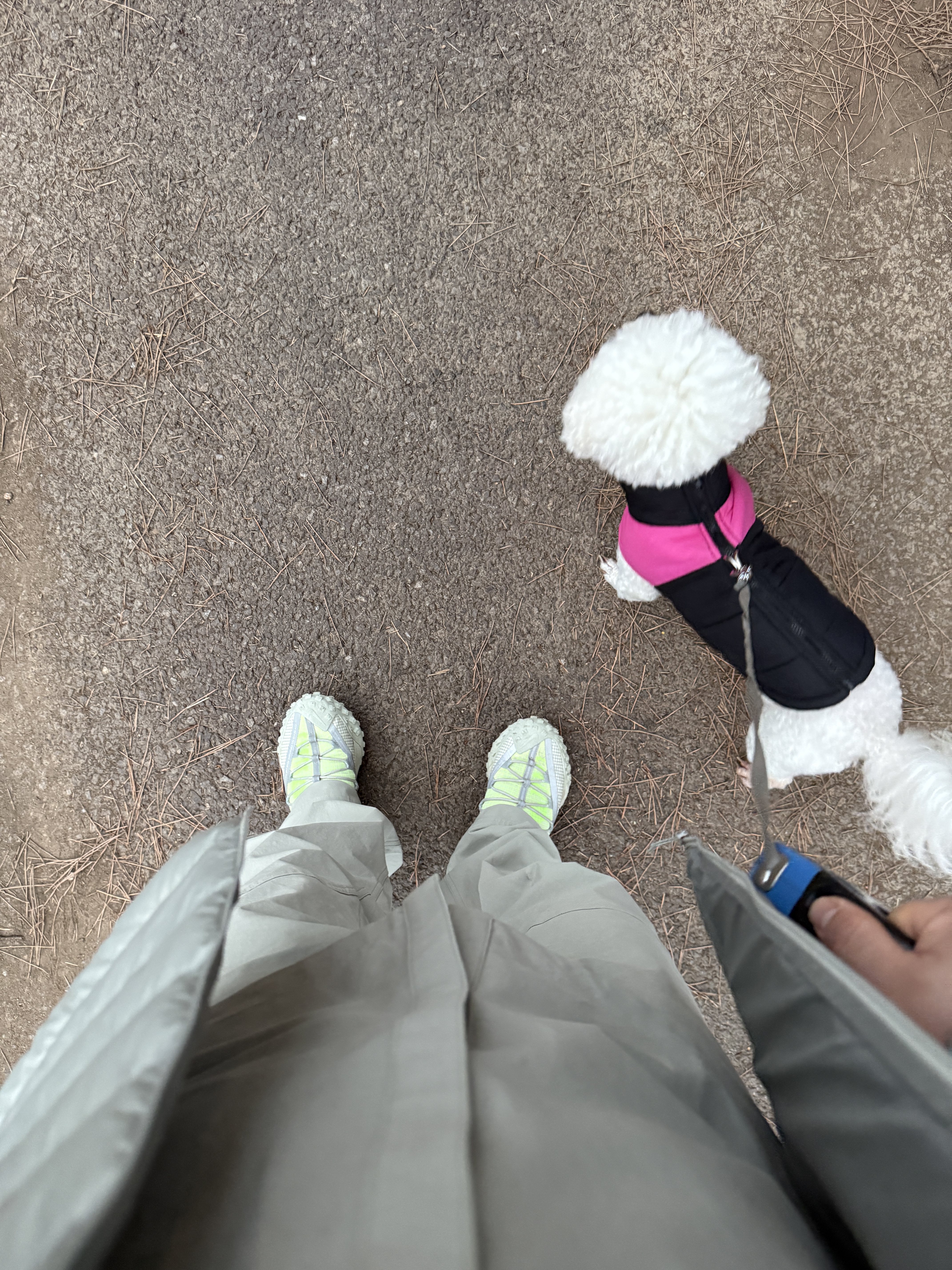 Arc'teryx Cronin Cotton Overshirt Stone Green, Arc'teryx Cerium Hoody Habitat 착용 스타일