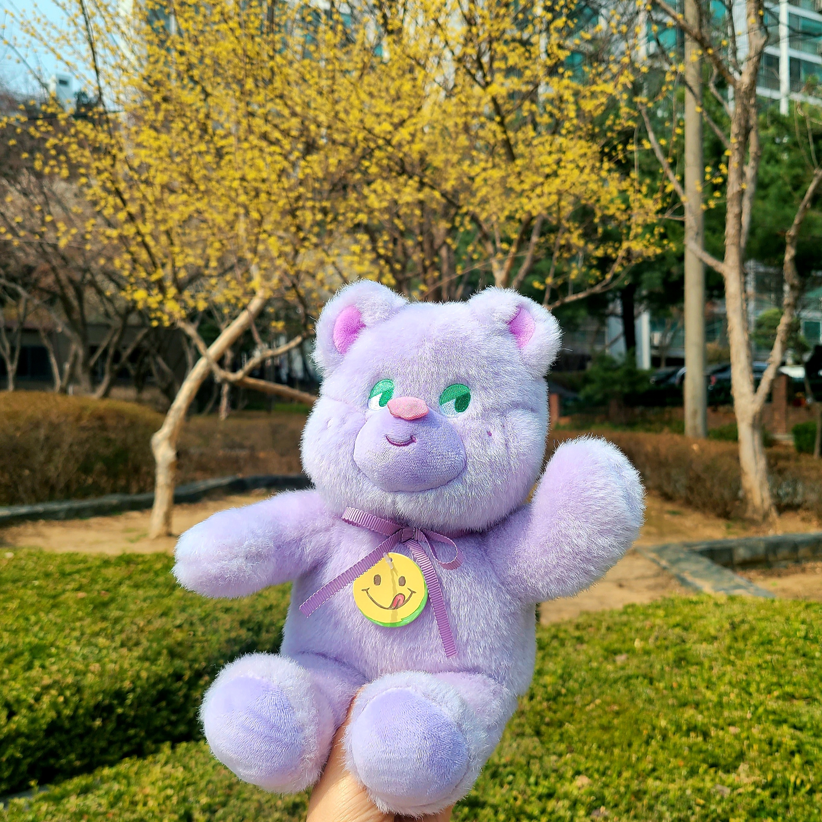 Knotted Sugar Bear Lavender 착용 스타일