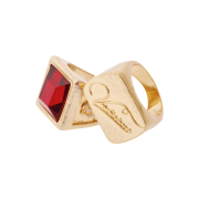 Zara x Willy Chavarria Resin Signet Rings Golden (Set of 2)