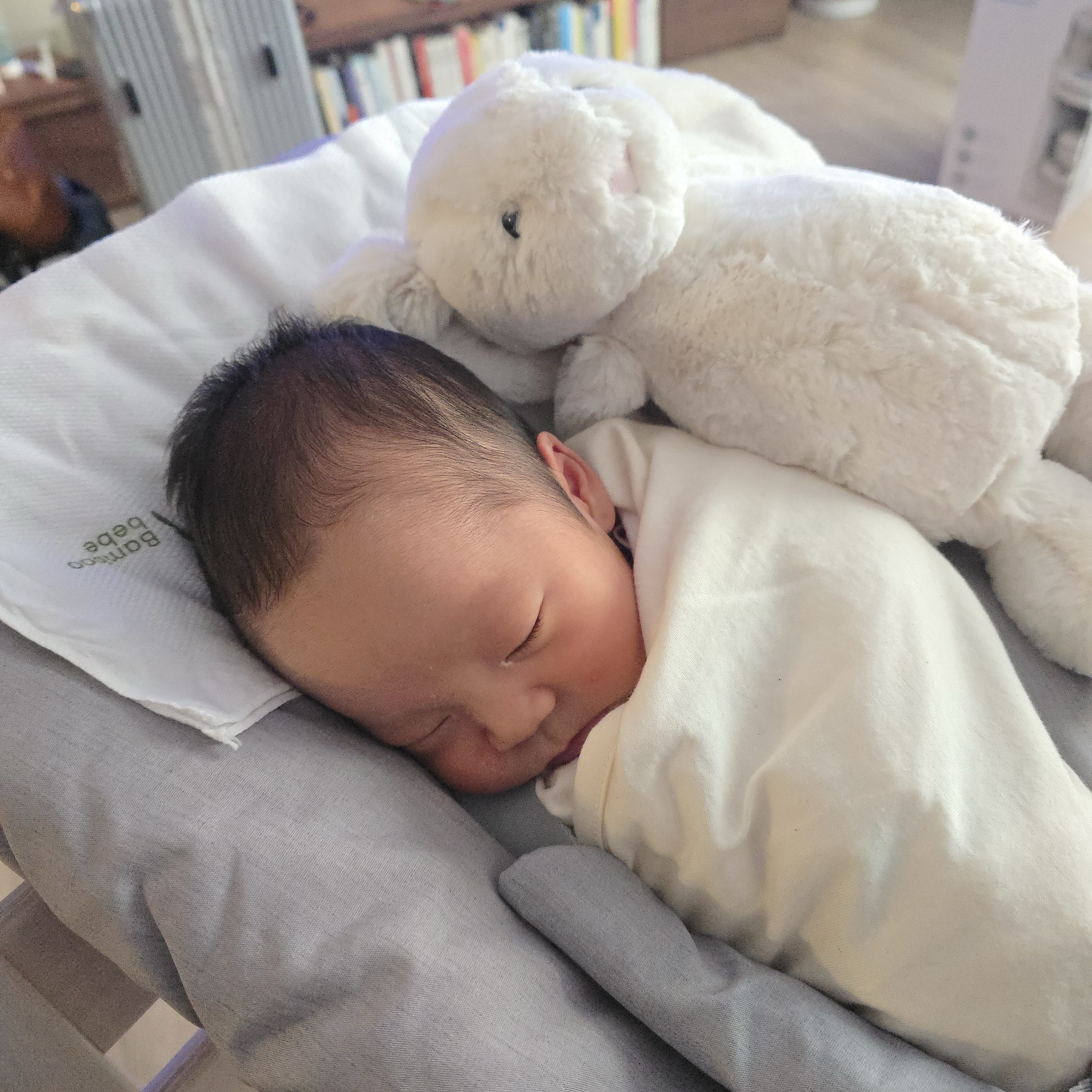 Jellycat Bashful Bunny Medium Cream 착용 스타일