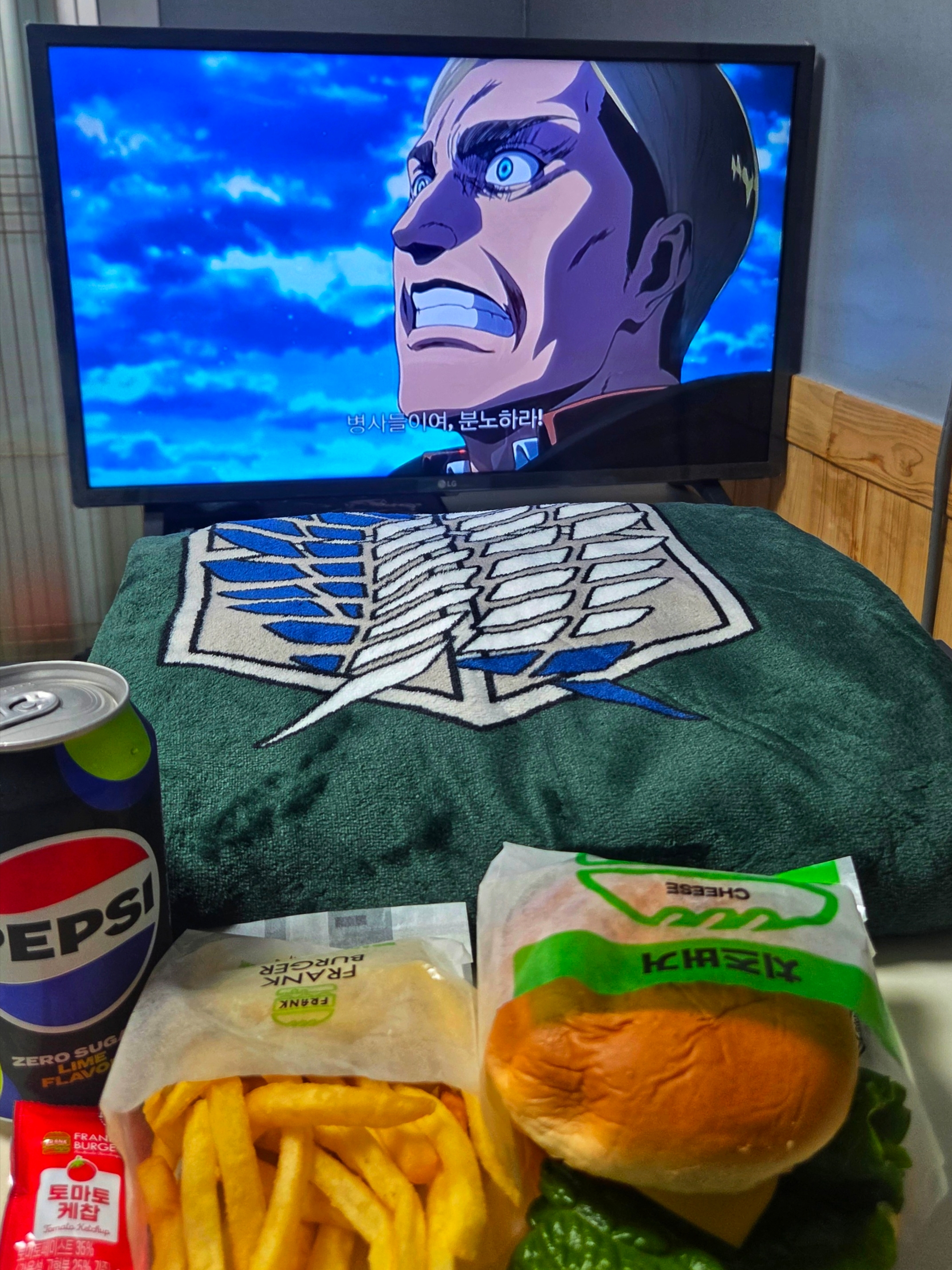 Frank Burger × Attack On Titan Scouting Legion Cloak Blanket 착용 스타일