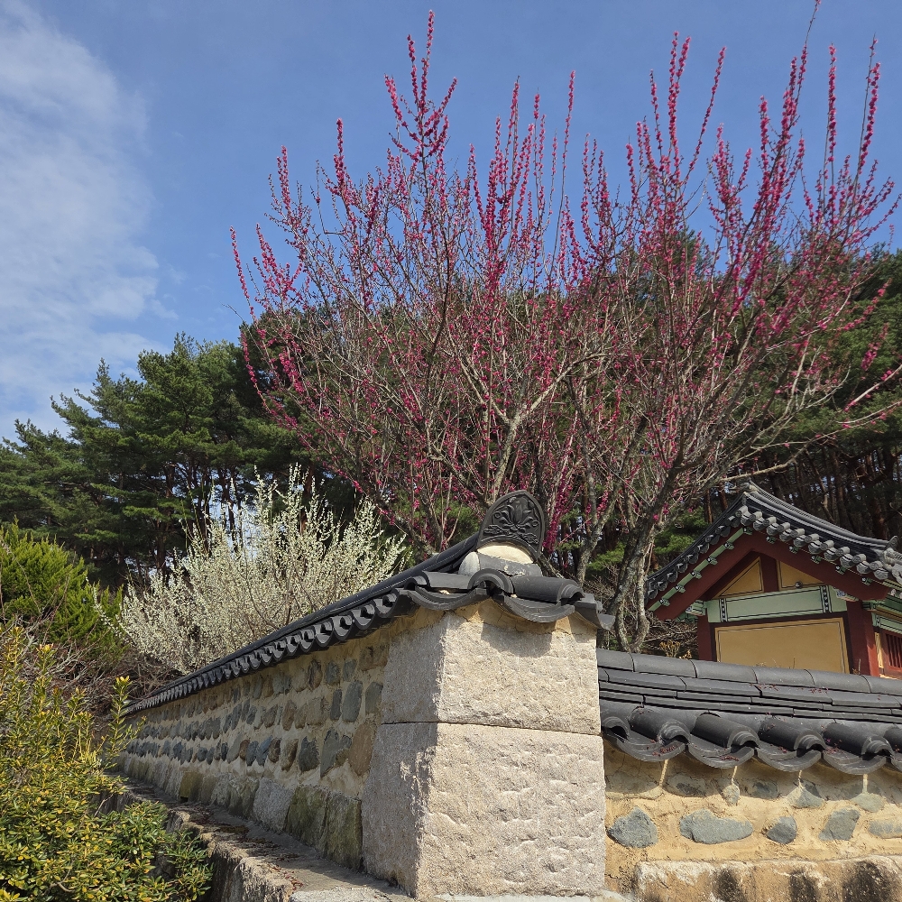 관심 유저 프로필 이미지
