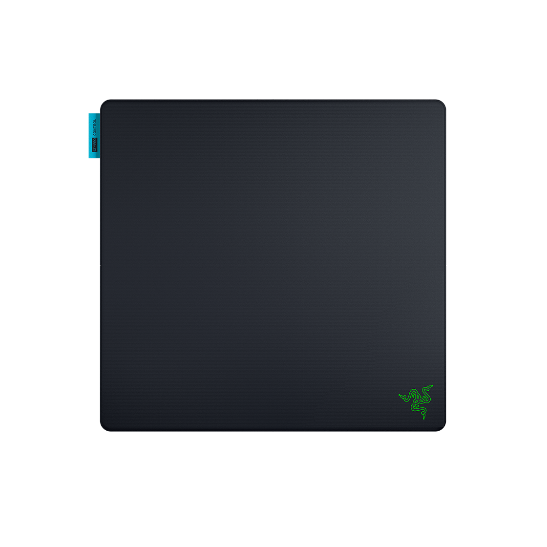 레이저 기간투스 V2 프로 컨트롤(Razer Gigantus V2 Pro Control)