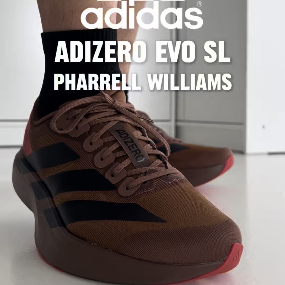 Adidas x Pharrell Williams Adizero EVO SL Preloved Brown 착용 스타일