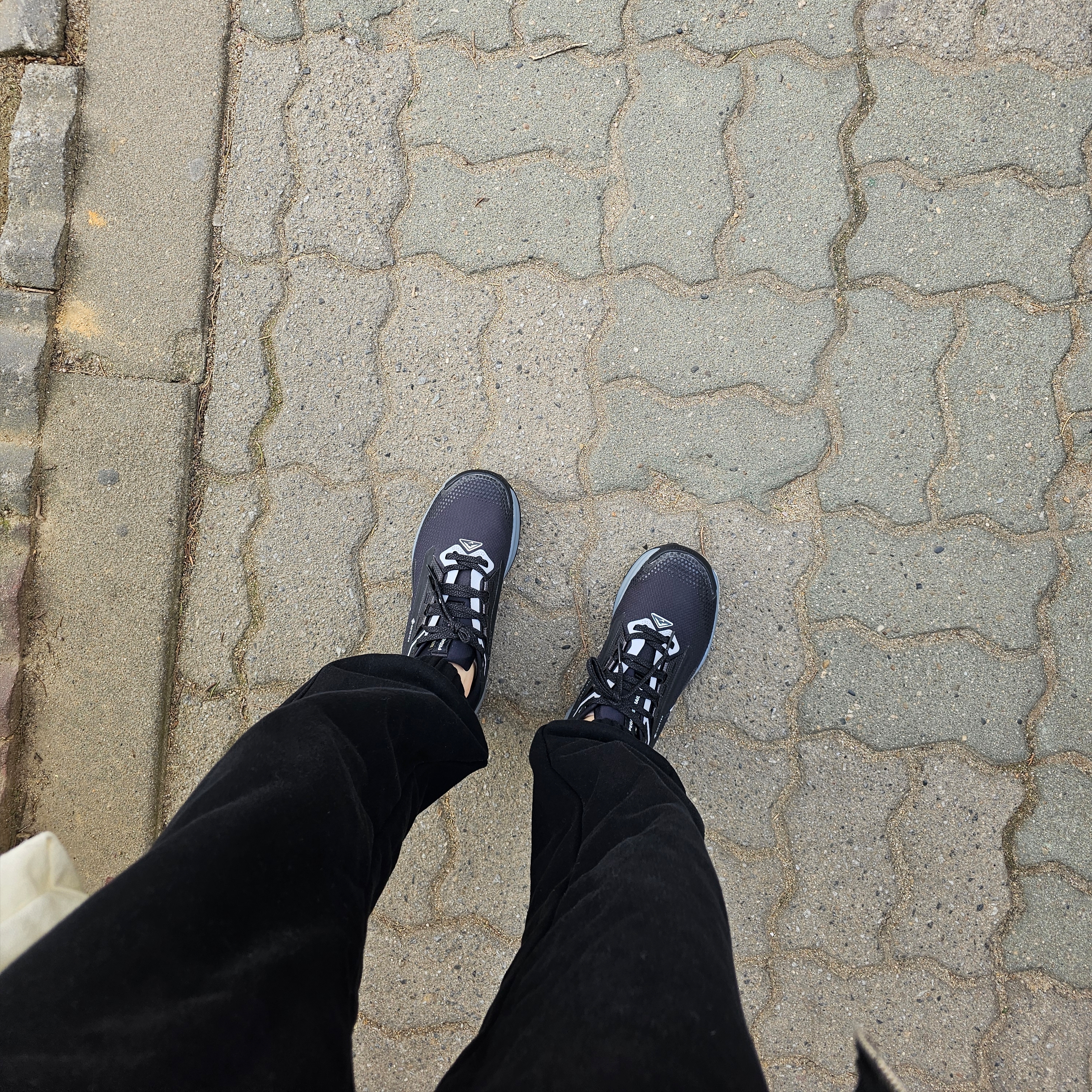 (W) Nike Pegasus Trail 5 Gore-Tex Black Cool Grey 착용 스타일