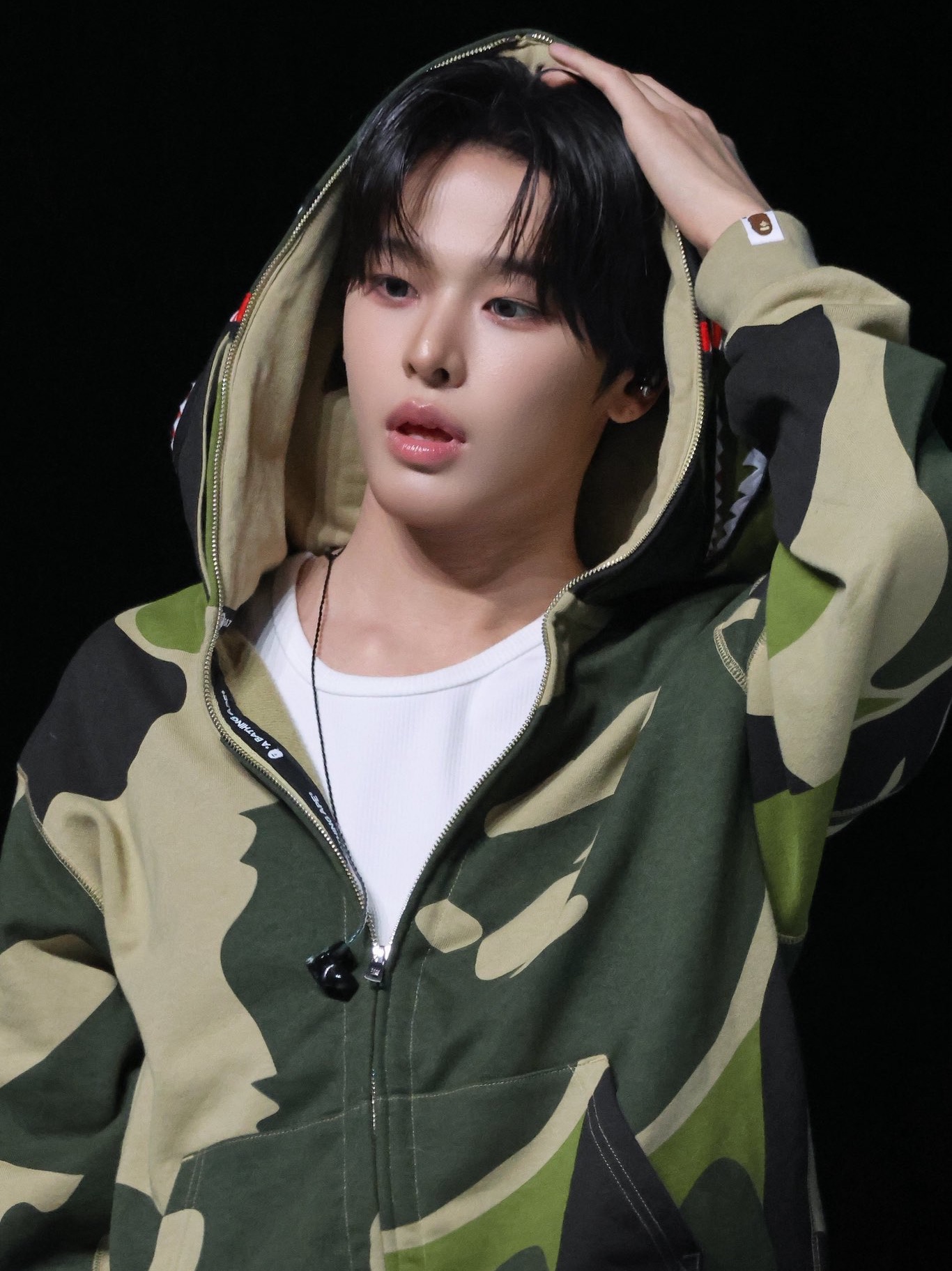 BAPE Mega ABC Camo Double Shark Relaxed Fit Full Zip Hoodie Green 착용 스타일 - 1