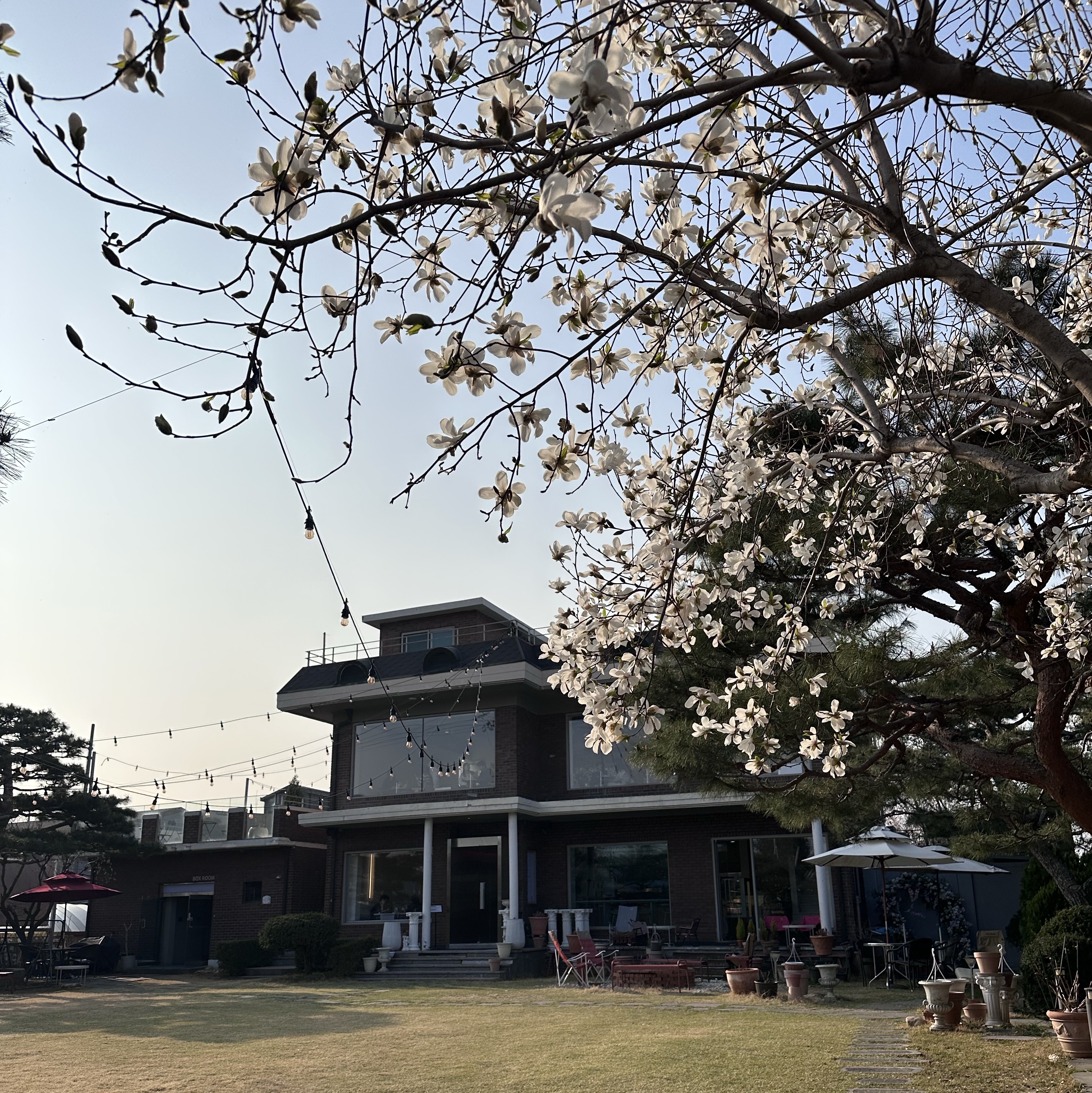 (W) Nike NSW Oversized Track Jacket Midnight Navy Black - Asia, Alex Zono x Woodz New Paths Await Trucker Hat Beige 착용 스타일 - 2