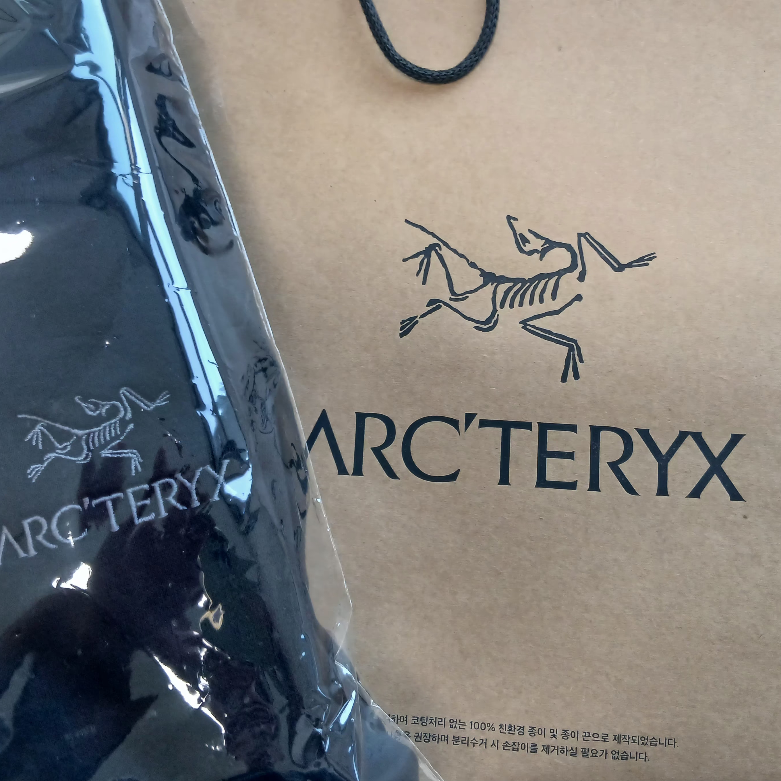 Arc'teryx Emblem Fleece Full-Zip Hoody Black 착용 스타일 - 2
