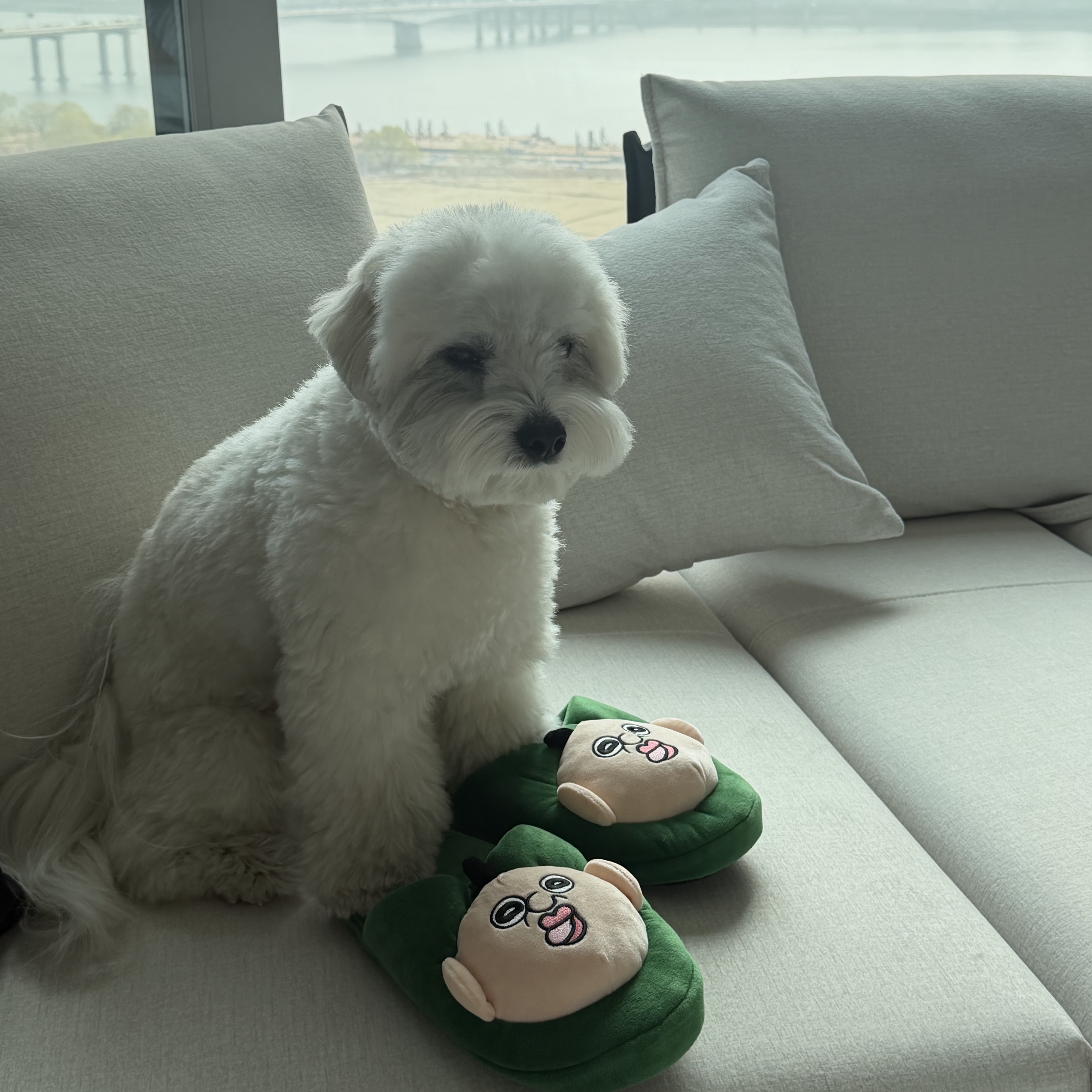 Bbangbbang Super Warm Slippers 착용 스타일