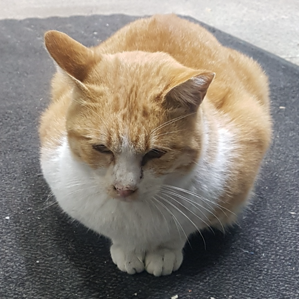 관심 유저 프로필 이미지