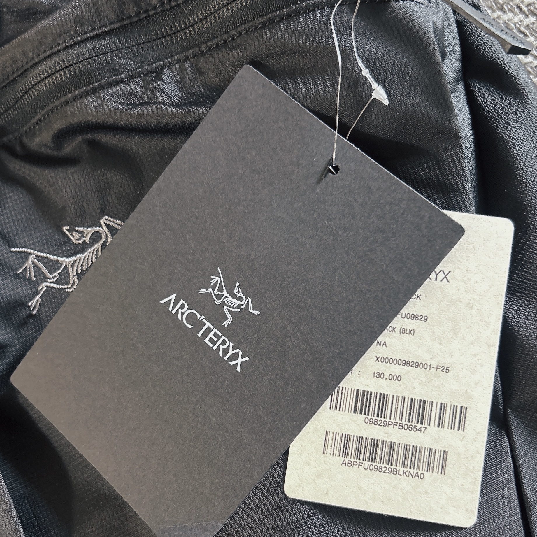 Arc'teryx Heliad 15 Backpack Black 착용 스타일 - 2
