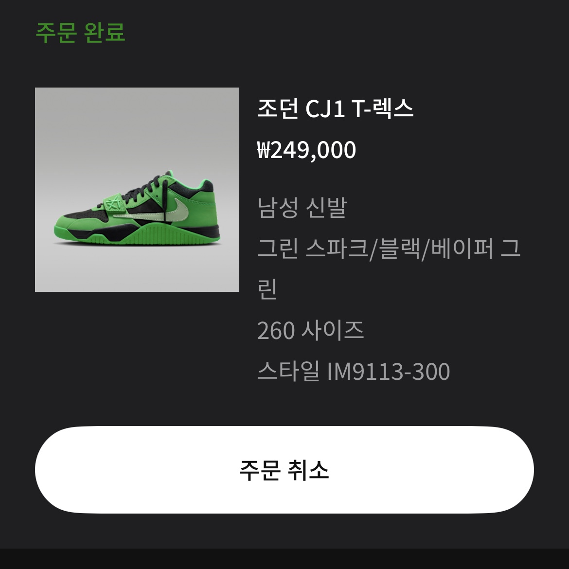 Jordan x Travis Scott Jumpman Jack TR Green Spark Vapor Green 착용 스타일