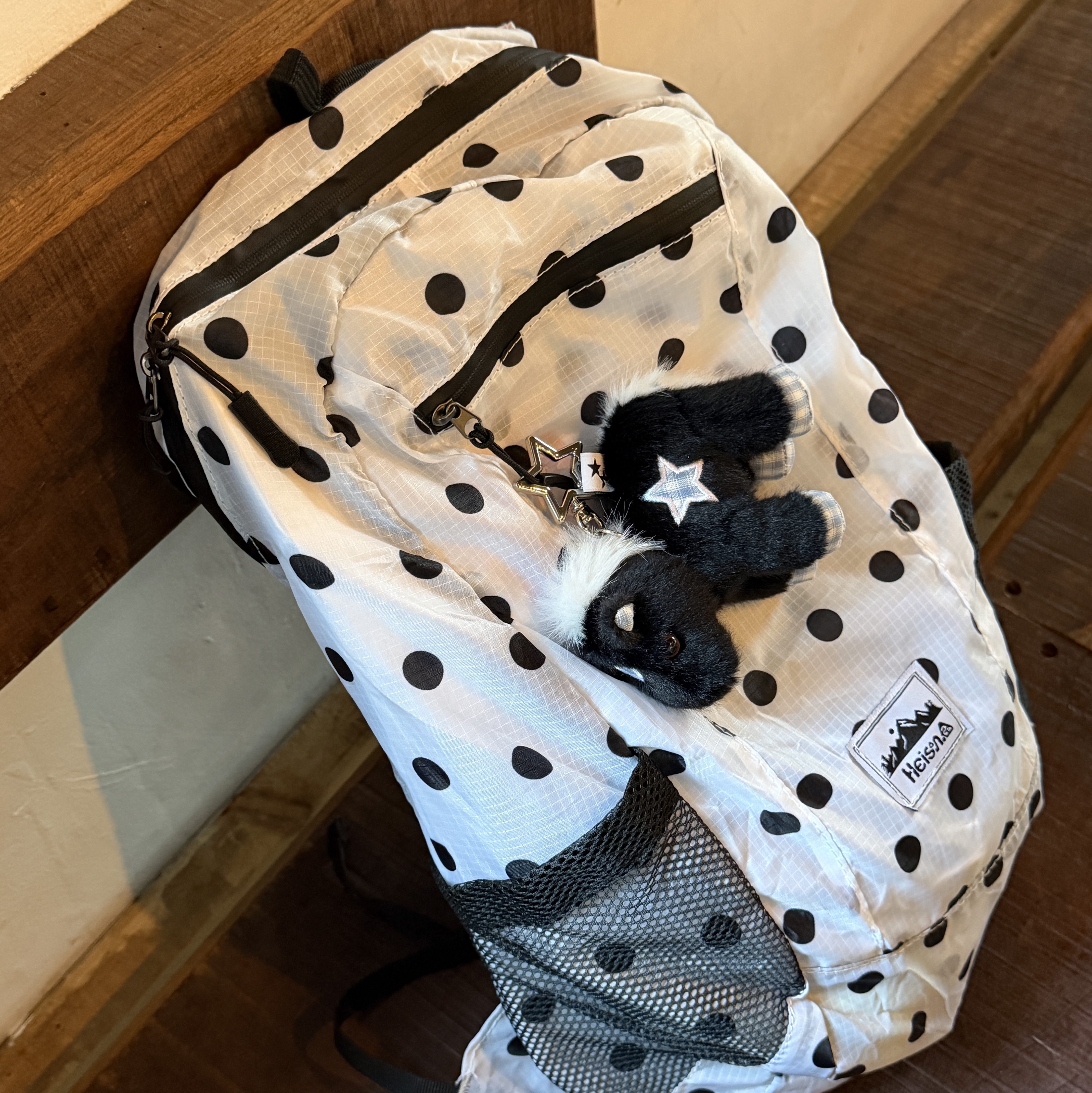 CAVISH Star Pony Keyring Black, Heisan Ultra-light Compact Pocket Bag V1 Dot - White 착용 스타일