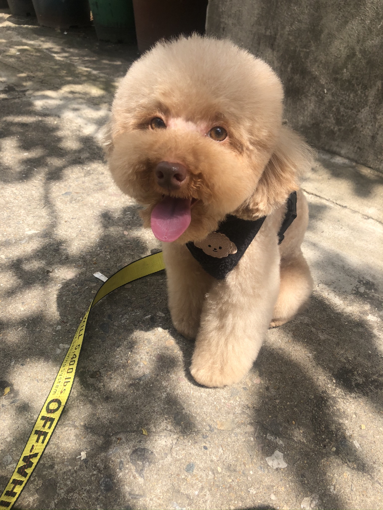 KREAM 프로필 이미지