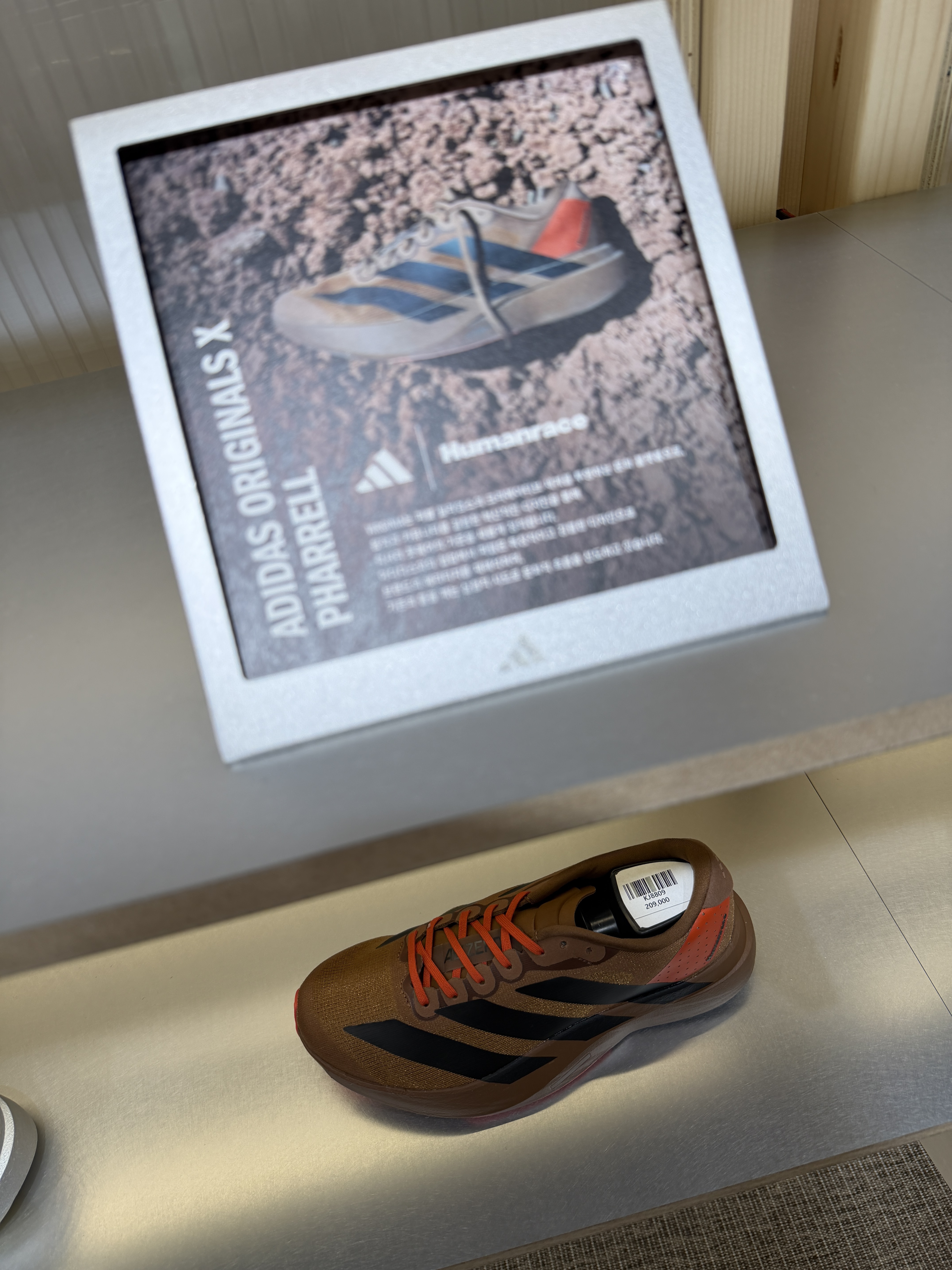 Adidas x Pharrell Williams Adizero EVO SL Preloved Brown 착용 스타일 - 1
