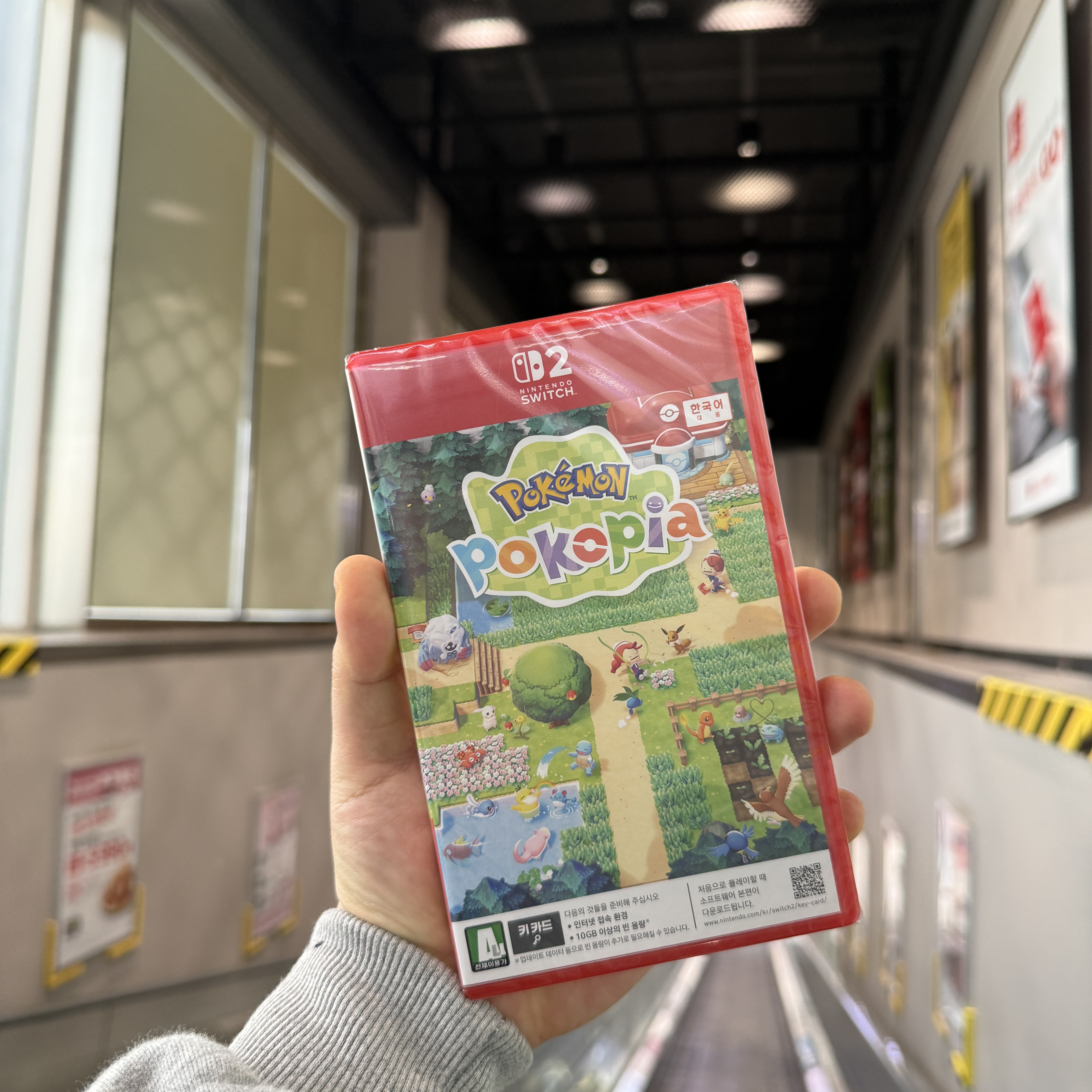 Nintendo Switch Pokemon Pokopia (Korean Ver.) 착용 스타일