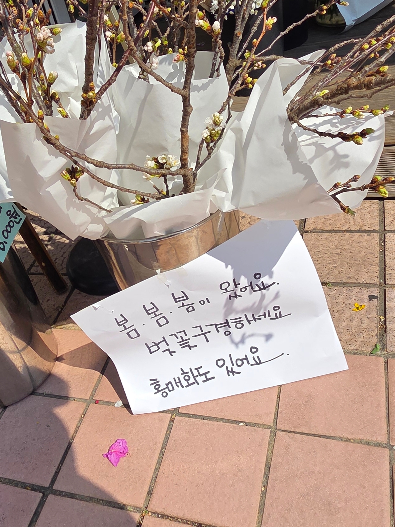 Adidas x Taegeukdang Superstar White Black, New Era x Hello Kitty Size Cap Radiant Blue 착용 스타일 - 5