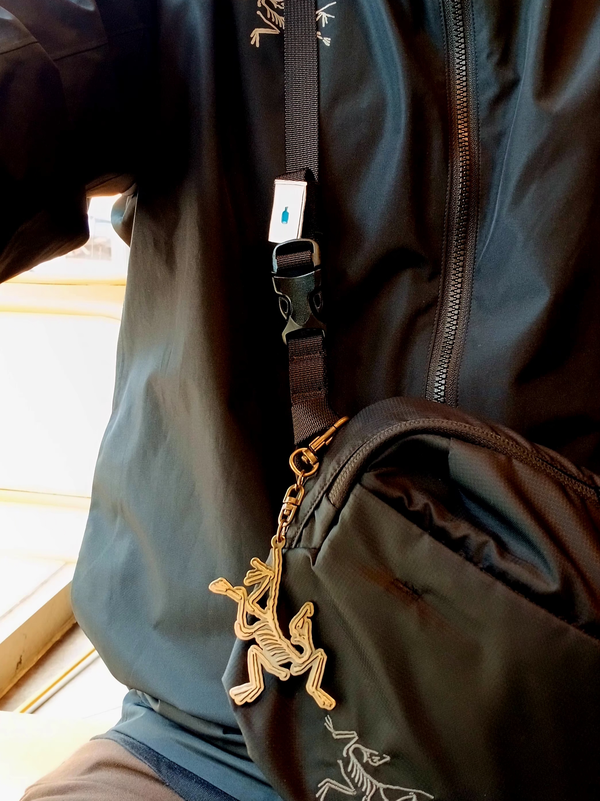 Arc'teryx Gore 5 Panel Cap Black, Arc'teryx Squamish Hoody Black 착용 스타일 - 5