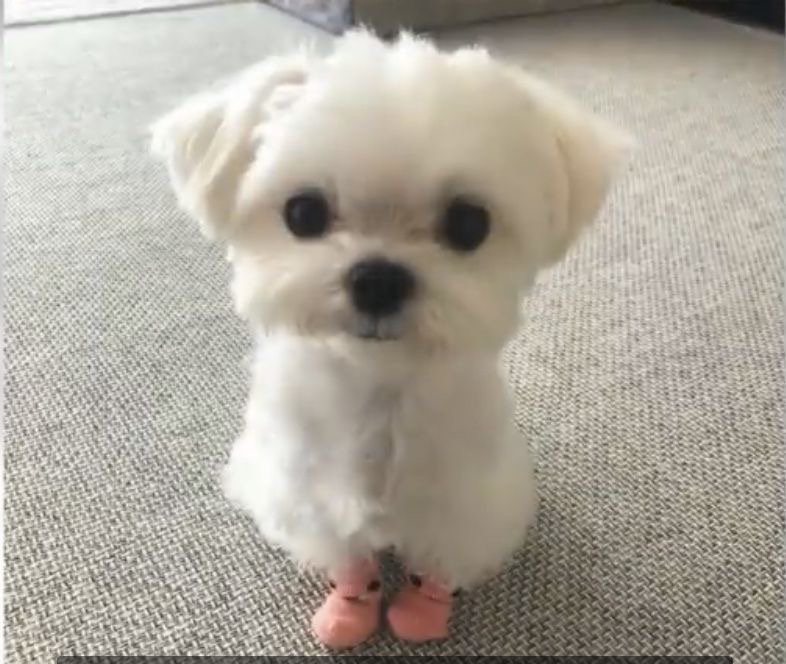 관심 유저 프로필 이미지