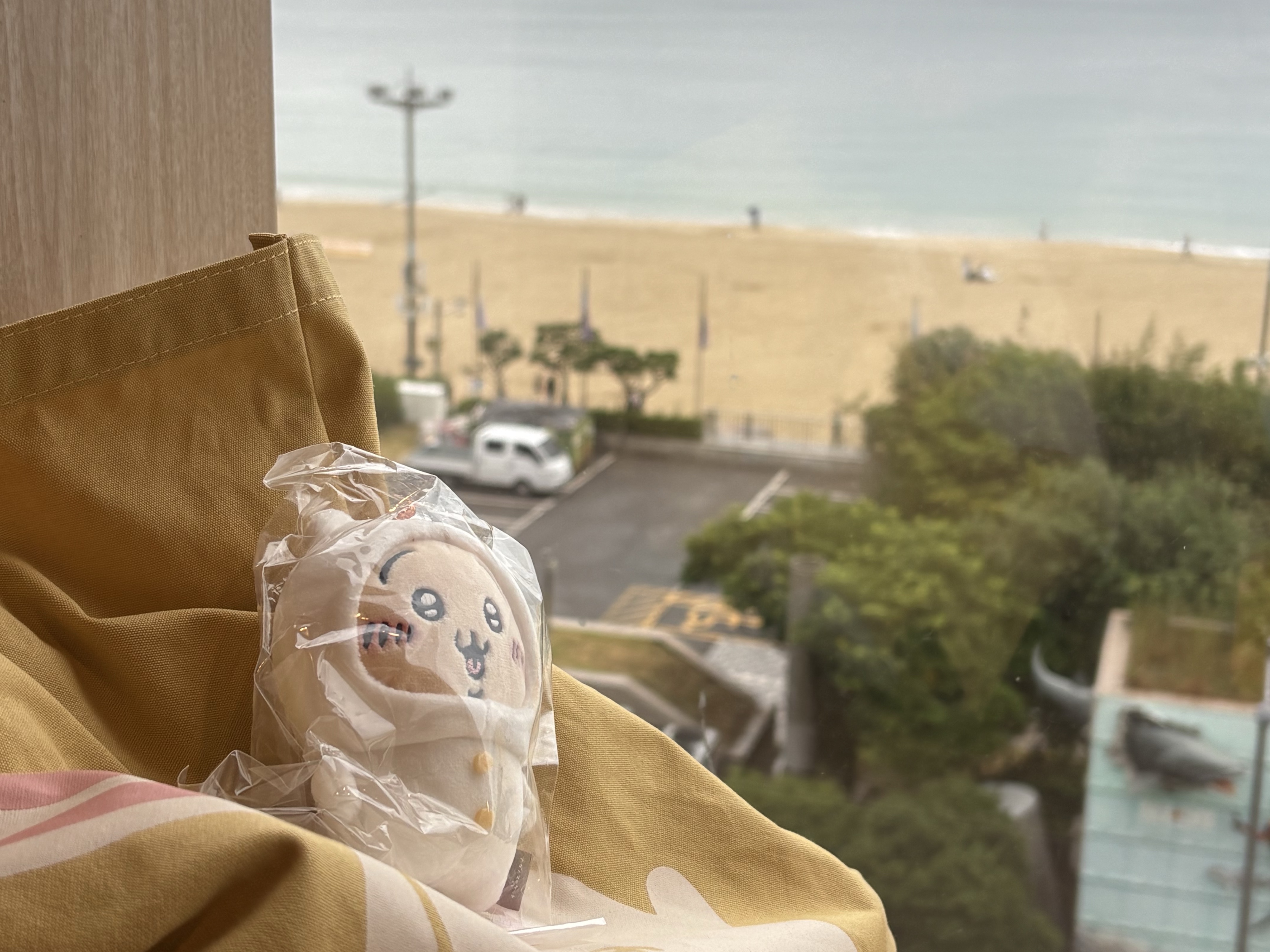 Chiikawa x Sanrio Characters Kiramekko Usagi Pompompurin 착용 스타일 - 3