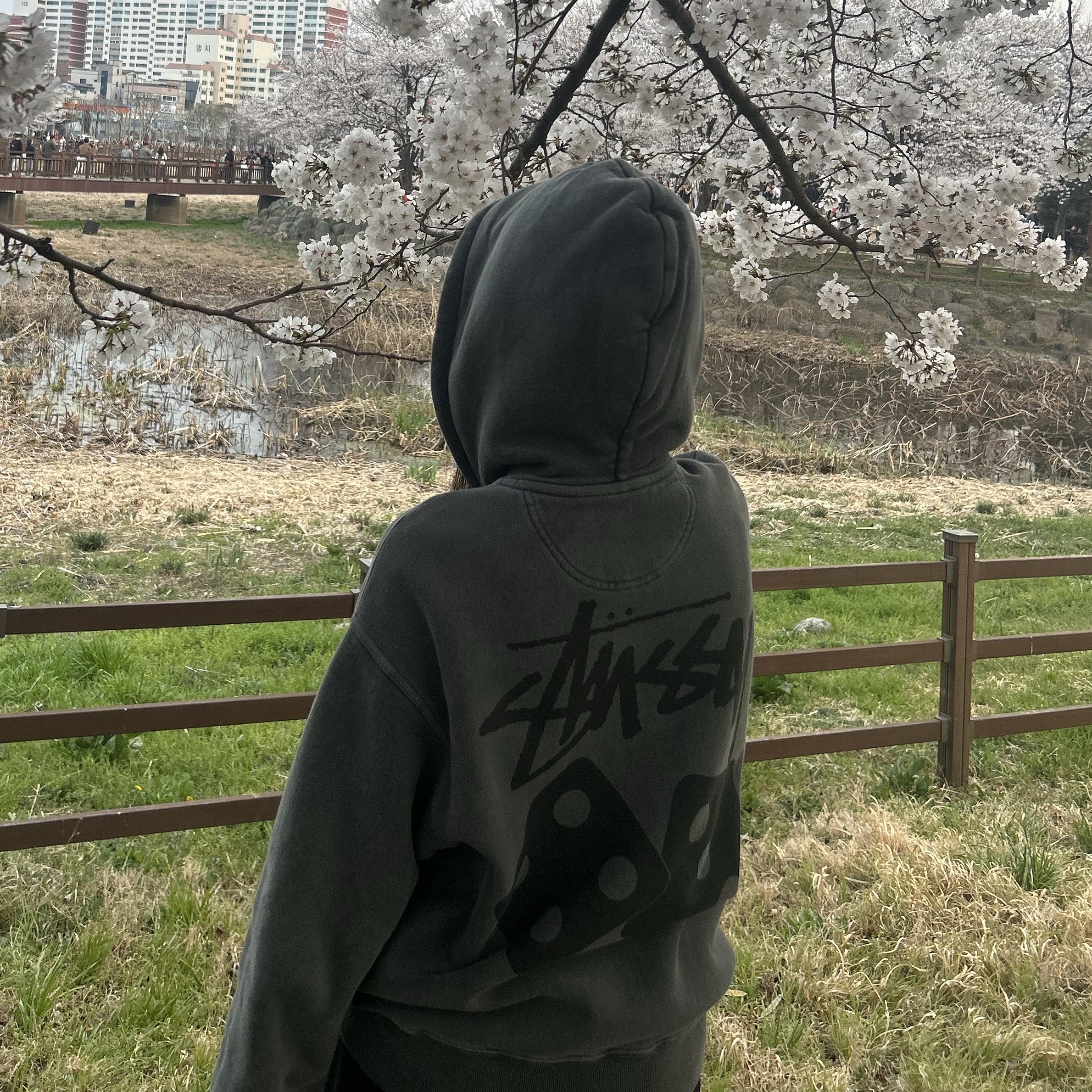 Stussy Pigment Dyed Dice Zip Hoodie Black 착용 스타일