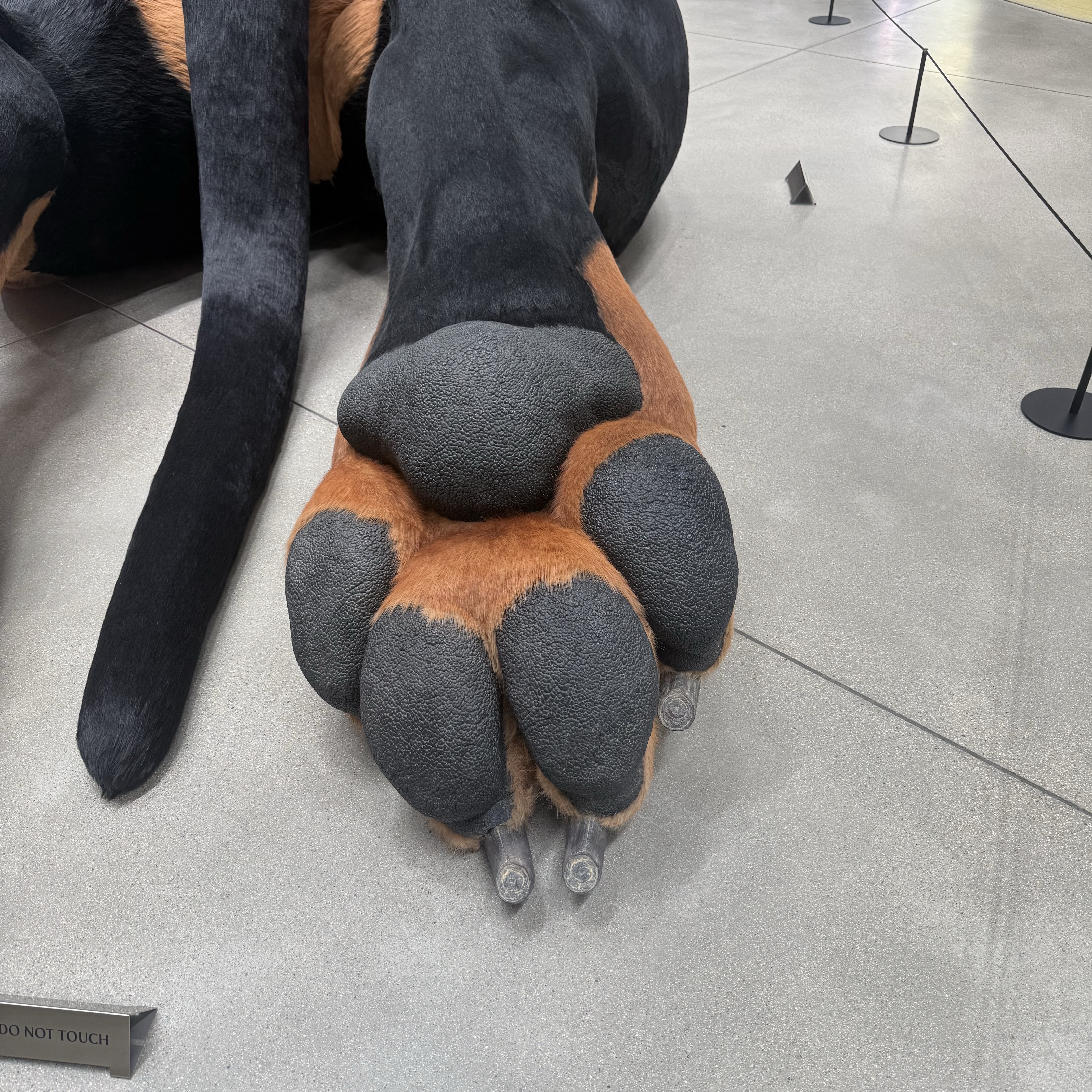 Timberland x Thisisneverthat Heritage Gore-Tex Moc Toe Mid Boots Desert - Medium 착용 스타일 - 2