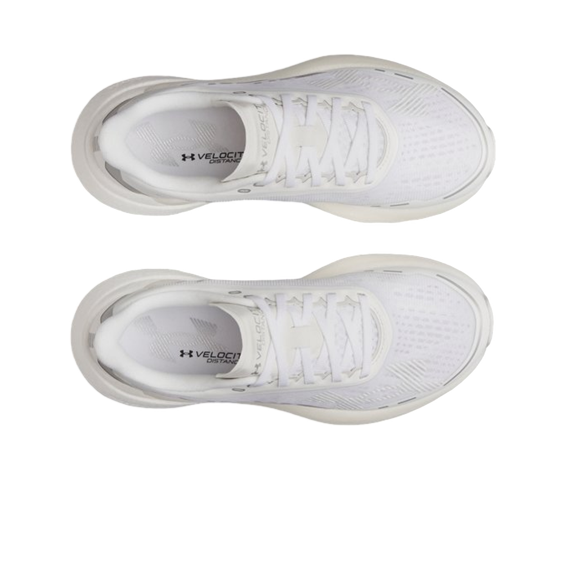 (W) 언더아머 UA 벨로시티 디스턴스 러닝 슈즈 화이트((W) Under Armour UA Velociti Distance Running Shoes White) - 2