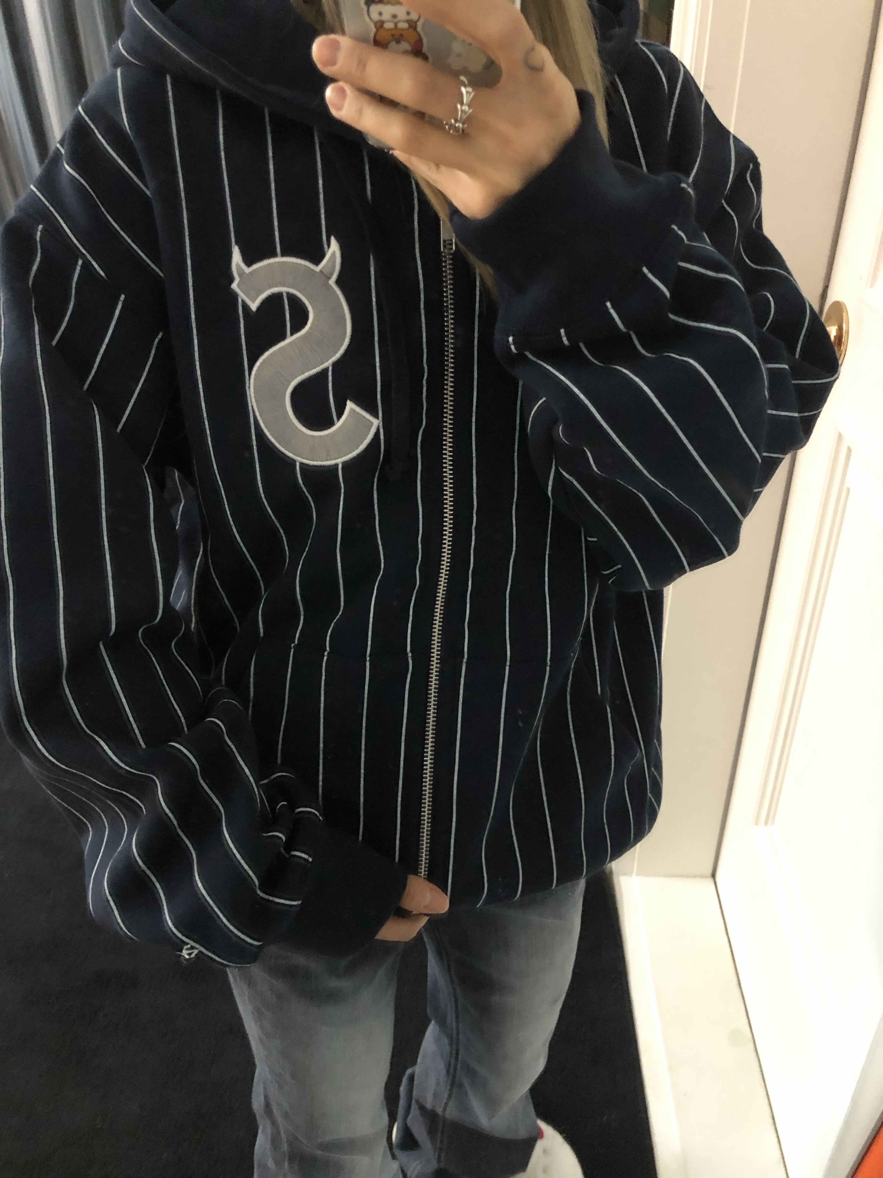 Supreme Devil S Logo Zip Up Hooded Sweatshirt Stripe - 26SS 착용 스타일 - 2