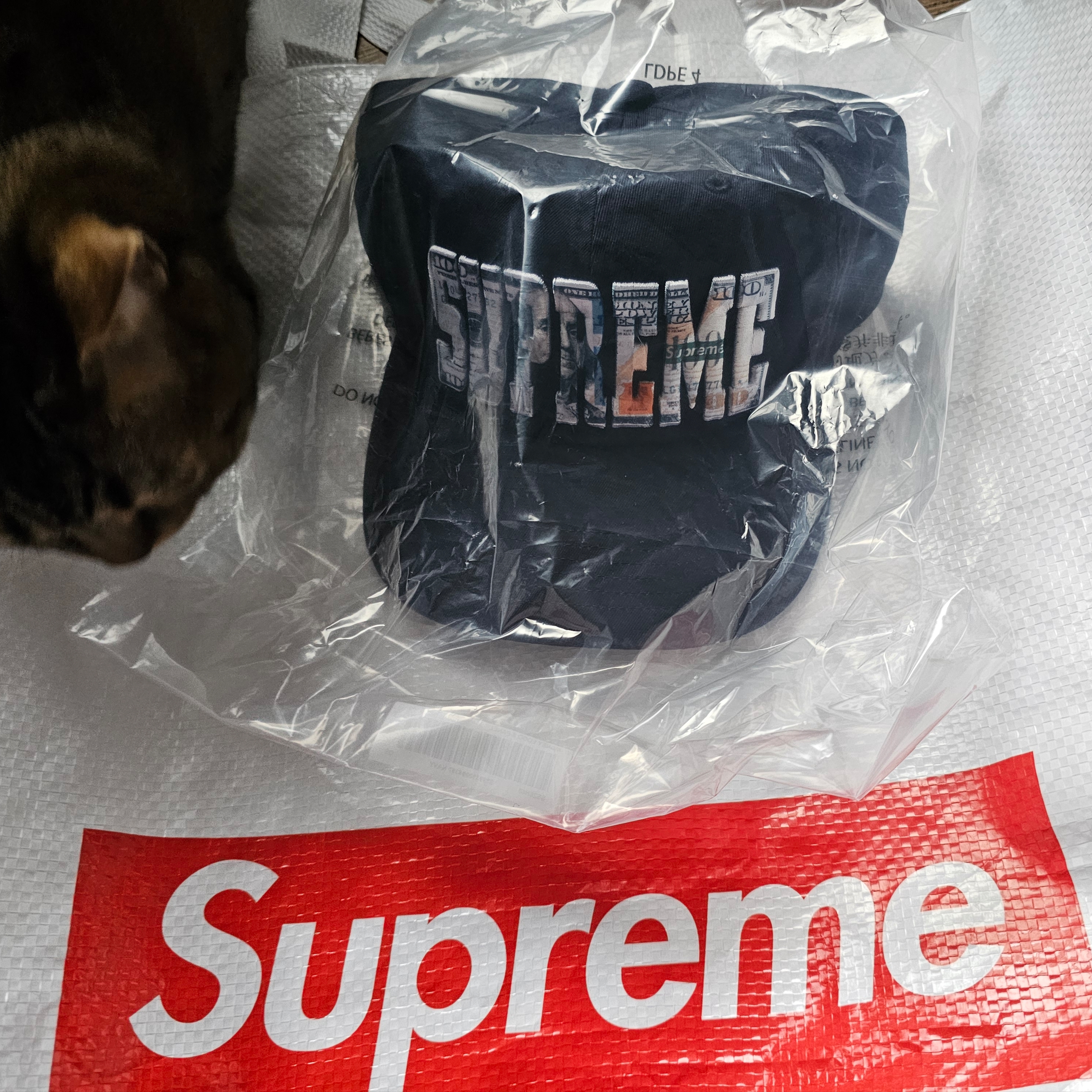 Supreme Embroidered Money Logo 6-Panel Navy - 26SS 착용 스타일