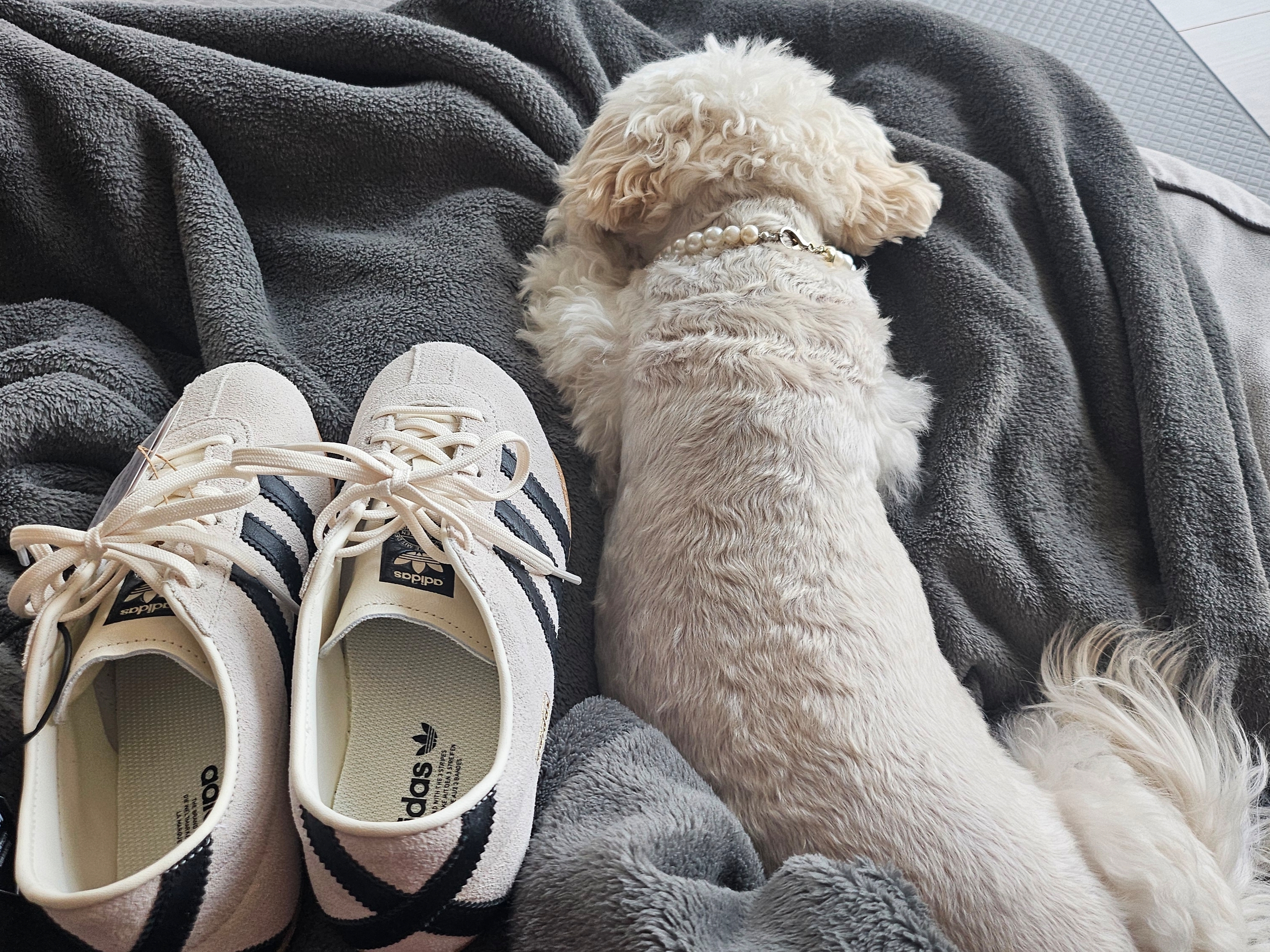 (W) Adidas Tokyo Off White Core Black 착용 스타일