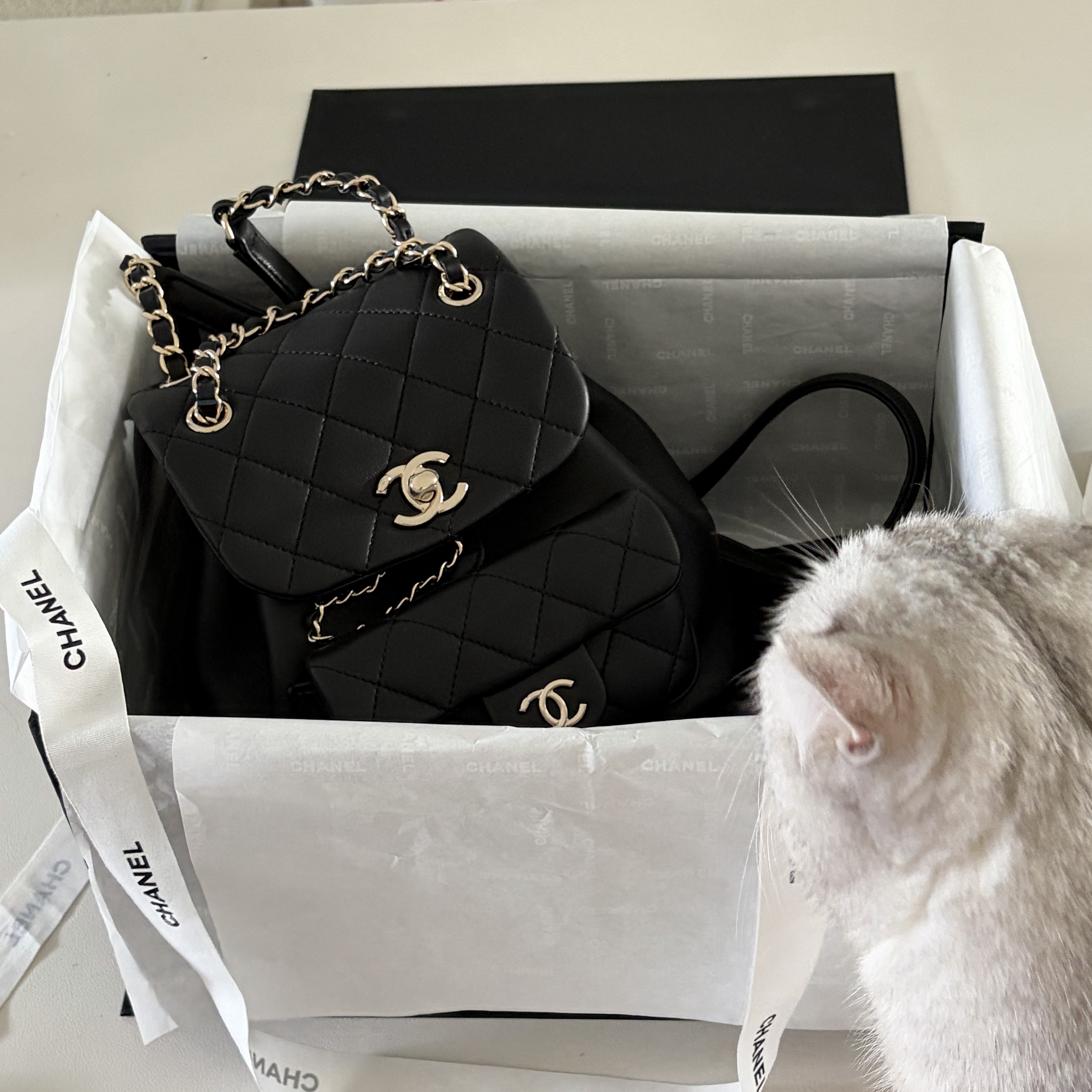 Chanel Small Backpack Calfskin & Gold Black 착용 스타일