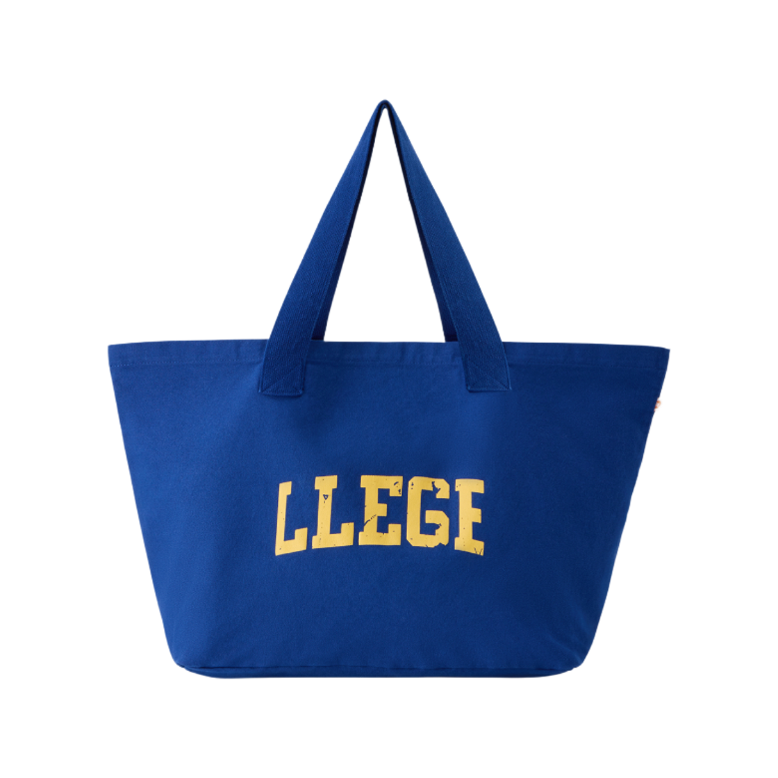 리지 워크 아웃 토트백 블루(LLEGE Work Out Tote Bag Blue)
