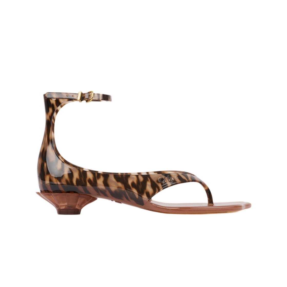 CH26U09VYF296 (W) Chloe Jelly Sandal Black Brown