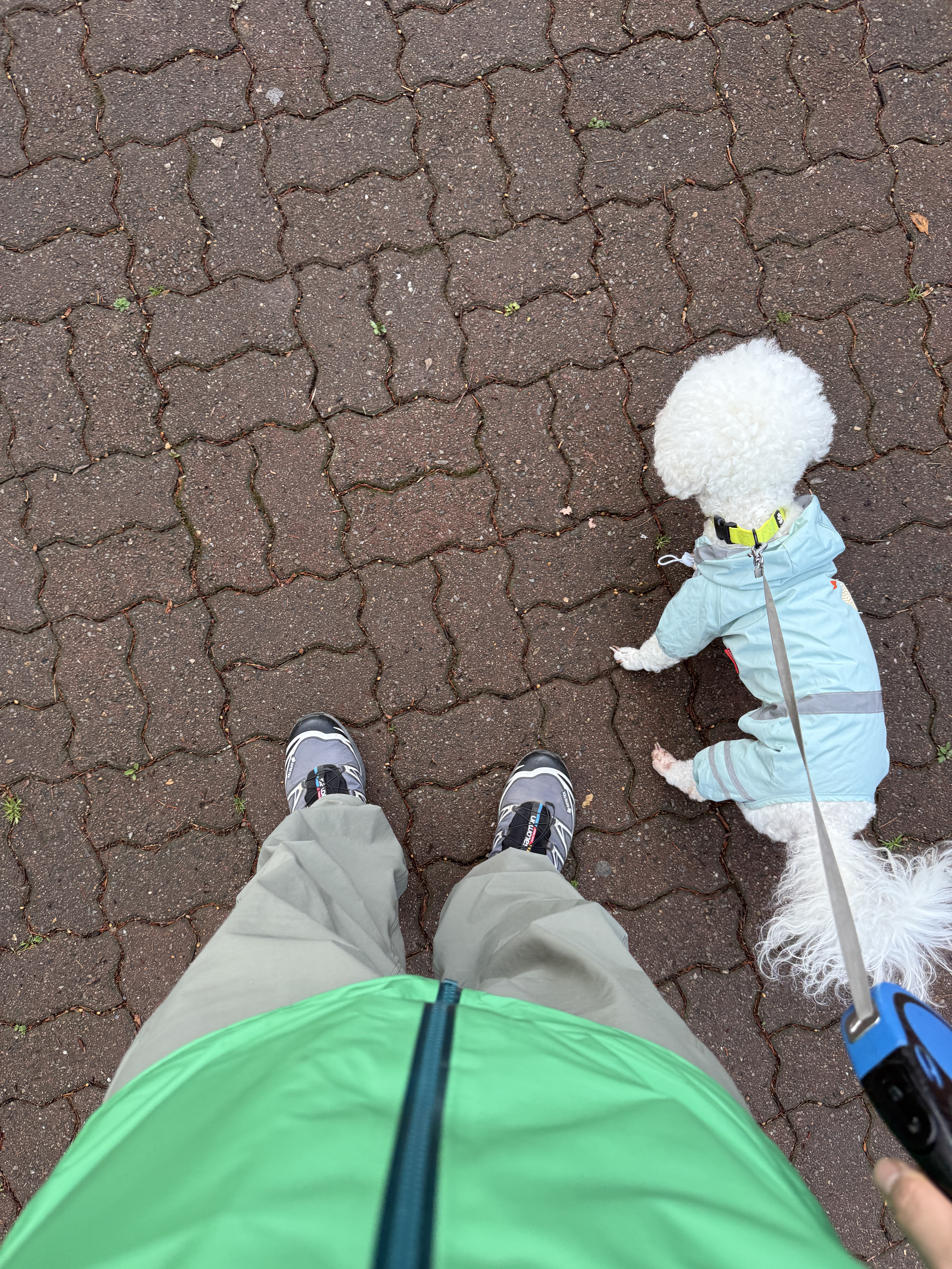 Arc'teryx Beta AR Jacket Jungle, Arc'teryx Rampart Pants Forage 착용 스타일