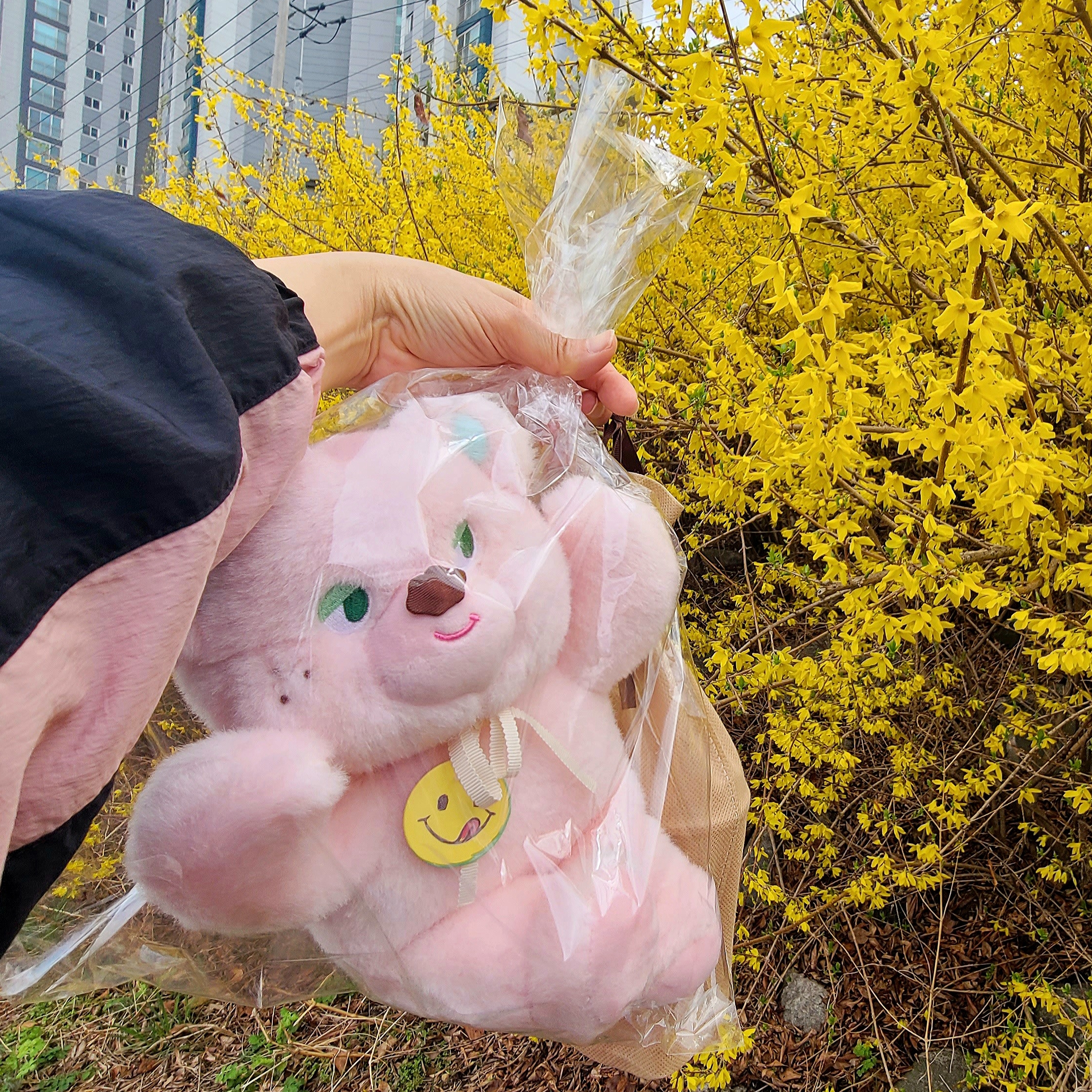 Knotted Sugar Bear Pink 착용 스타일