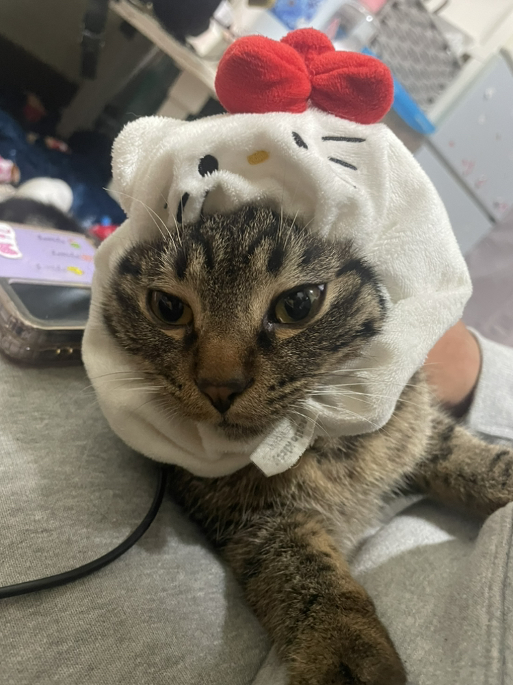 관심 유저 프로필 이미지