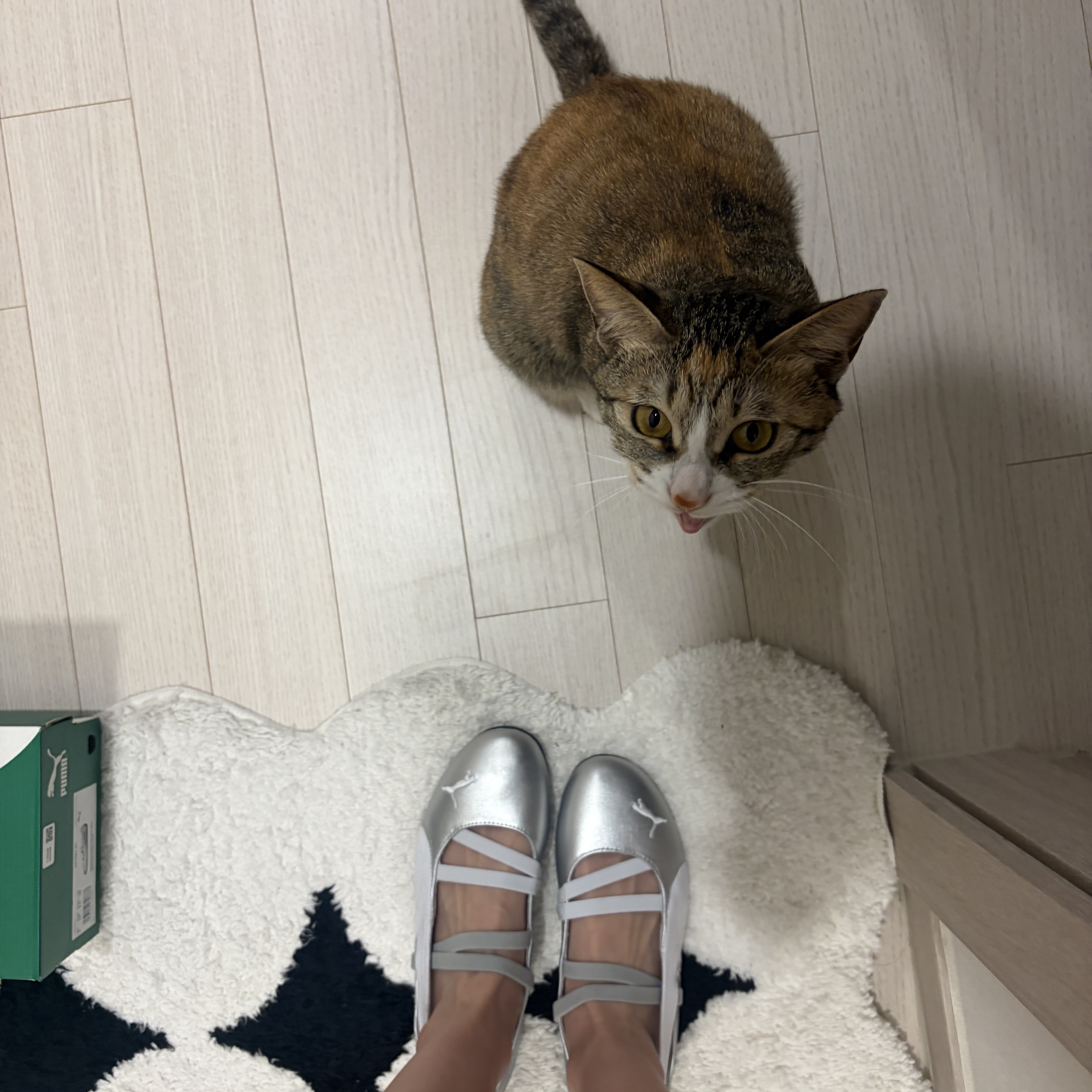 (W) Puma Speedcat Ballet Metallic Puma Silver Puma White 착용 스타일 - 1