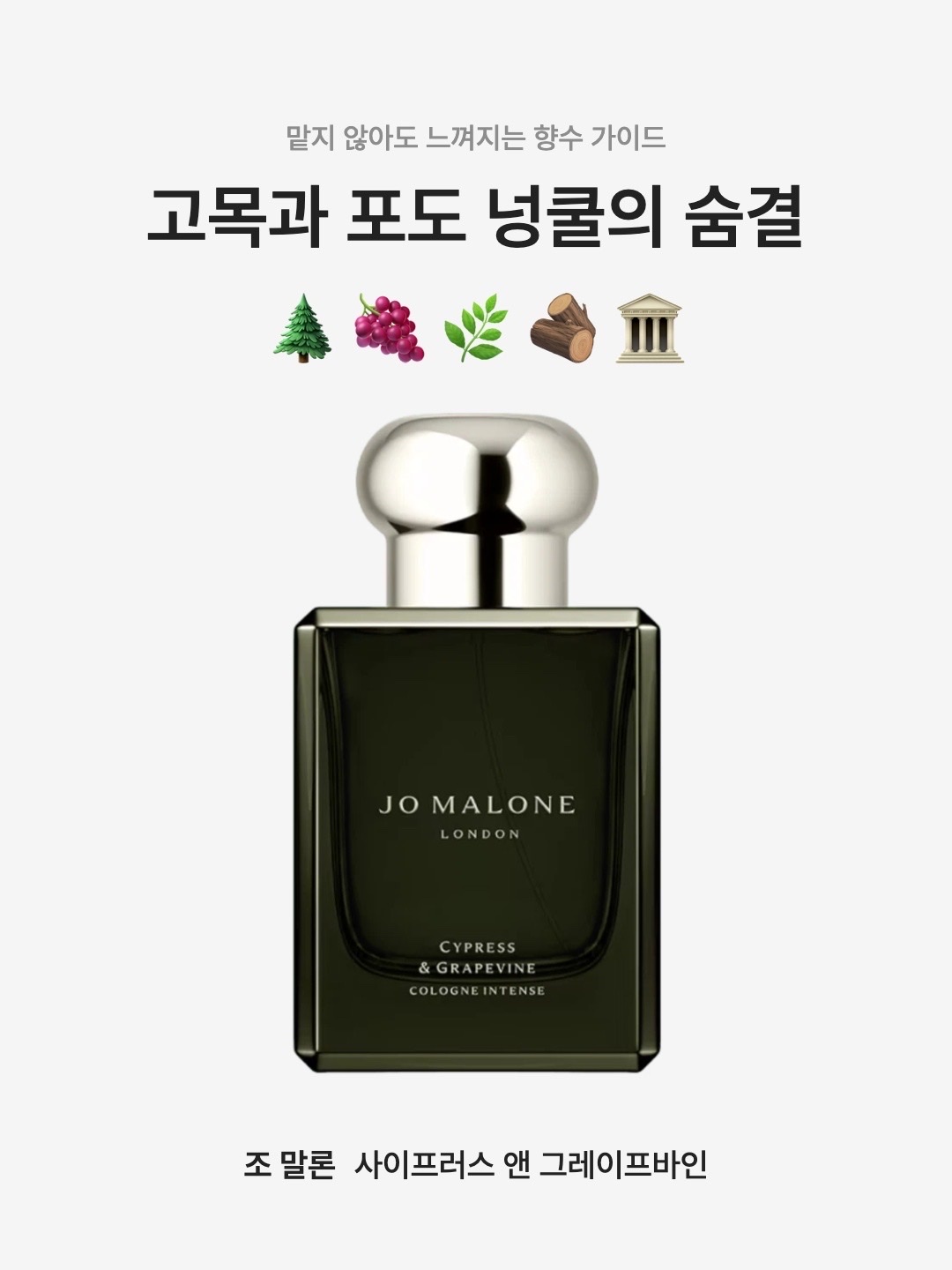 Jo Malone Cypress & Grapevine Cologne Intense 100ml, Jo Malone Cypress & Grapevine Cologne Intense 50ml 착용 스타일 - 1