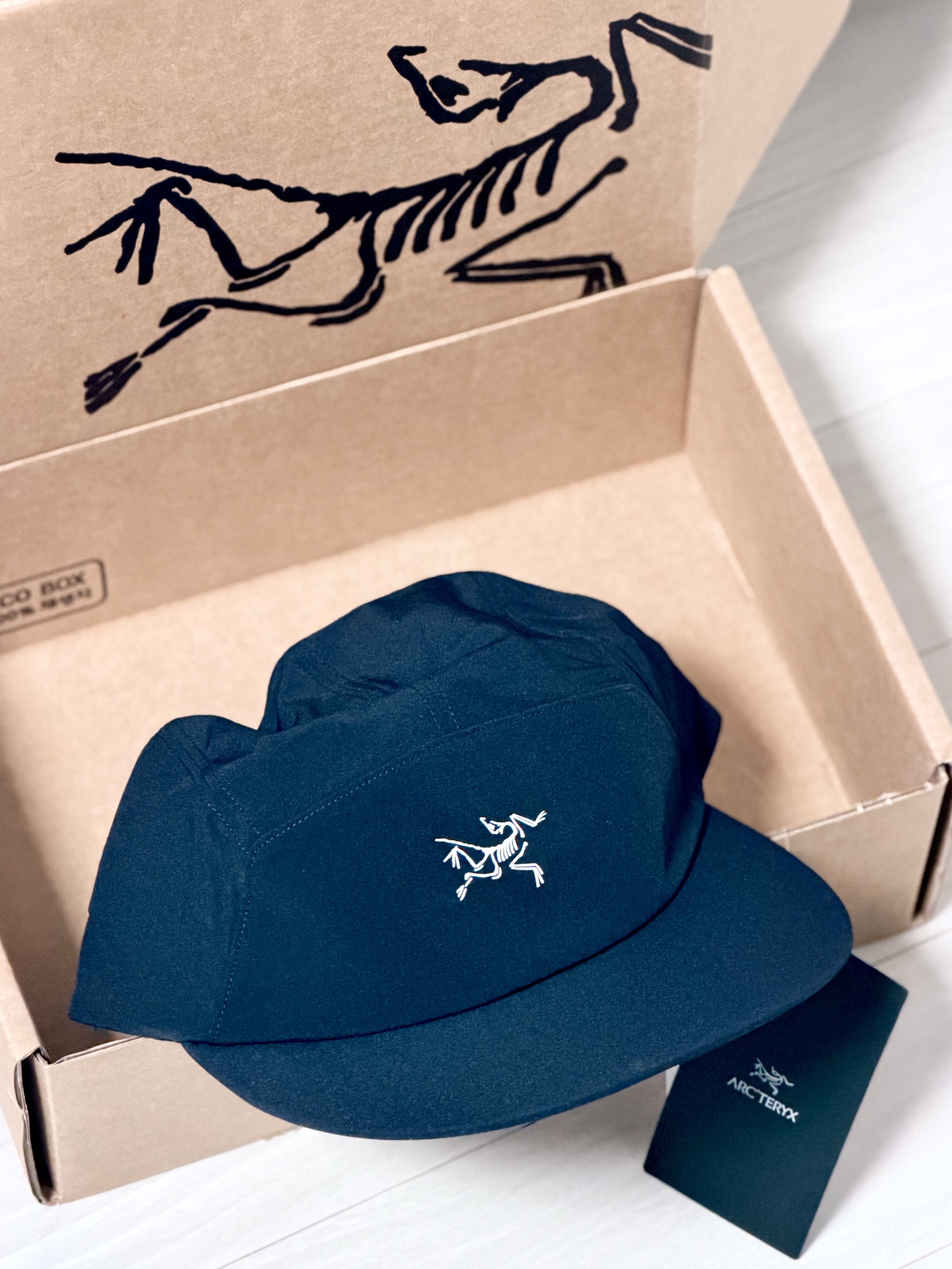 Arc'teryx Gamma 5 Panel Cap Black Arctic Silk 착용 스타일
