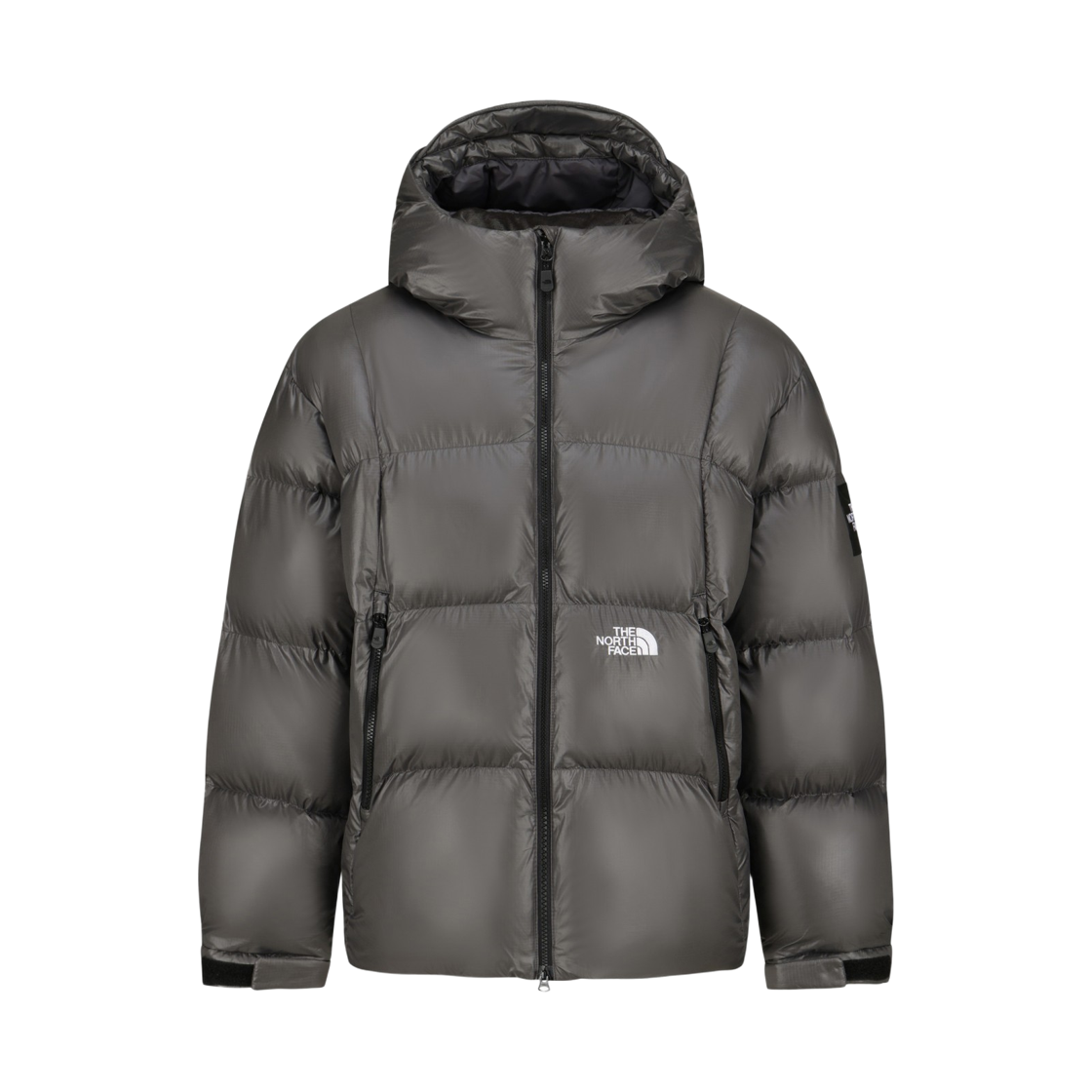 NJ3NS66K The North Face Vect-On Ex Jacket DSL
