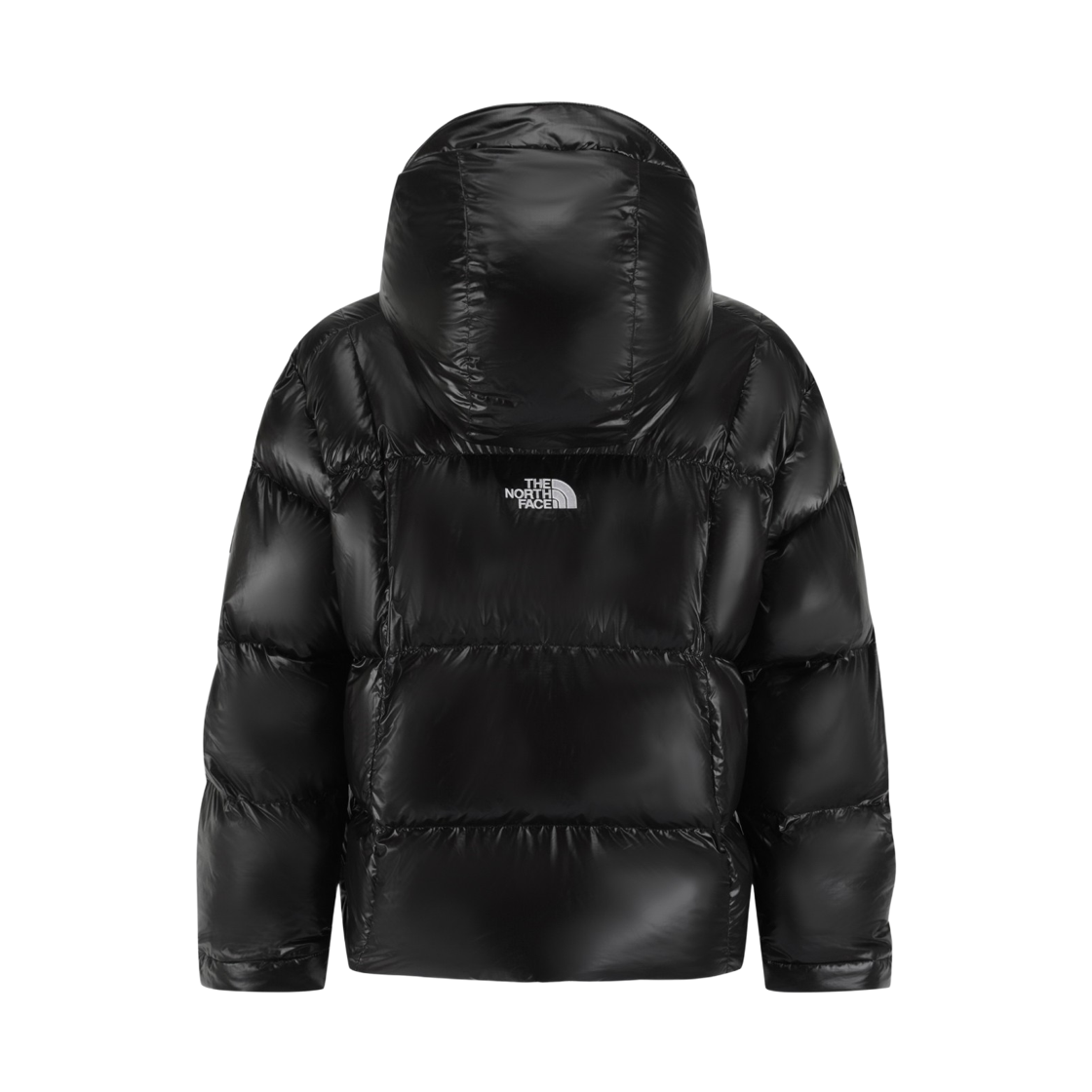 노스페이스 벡트 온볼 패딩 EX 자켓 NJ3NS66J_BLK(The North Face Vect-On Ex Jacket BLK) - 2